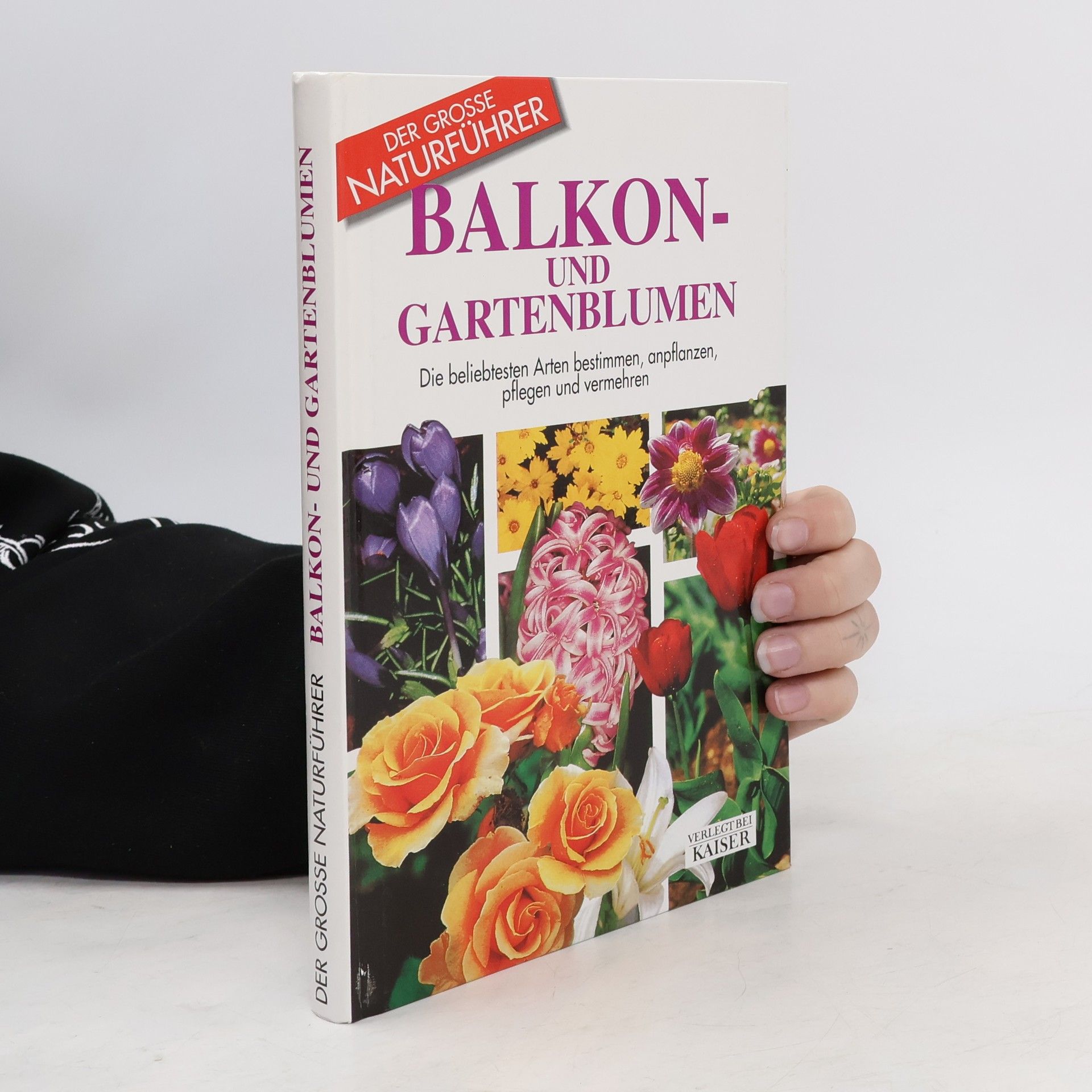 Balkon- und Gartenblumen