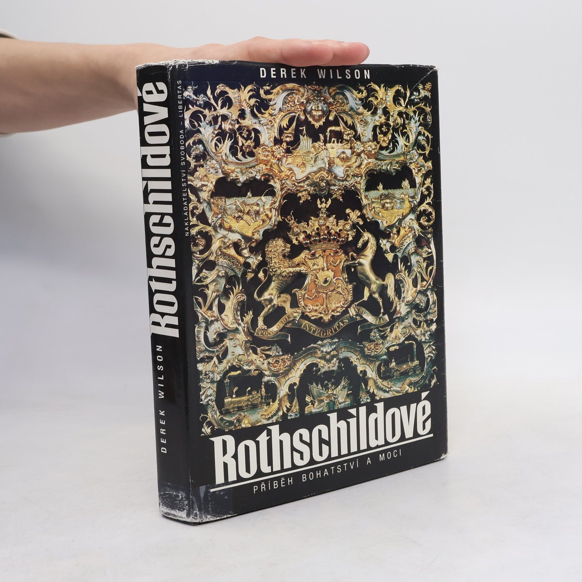 Derek A. Wilson Rothschildové. Příběh bohatství a moci