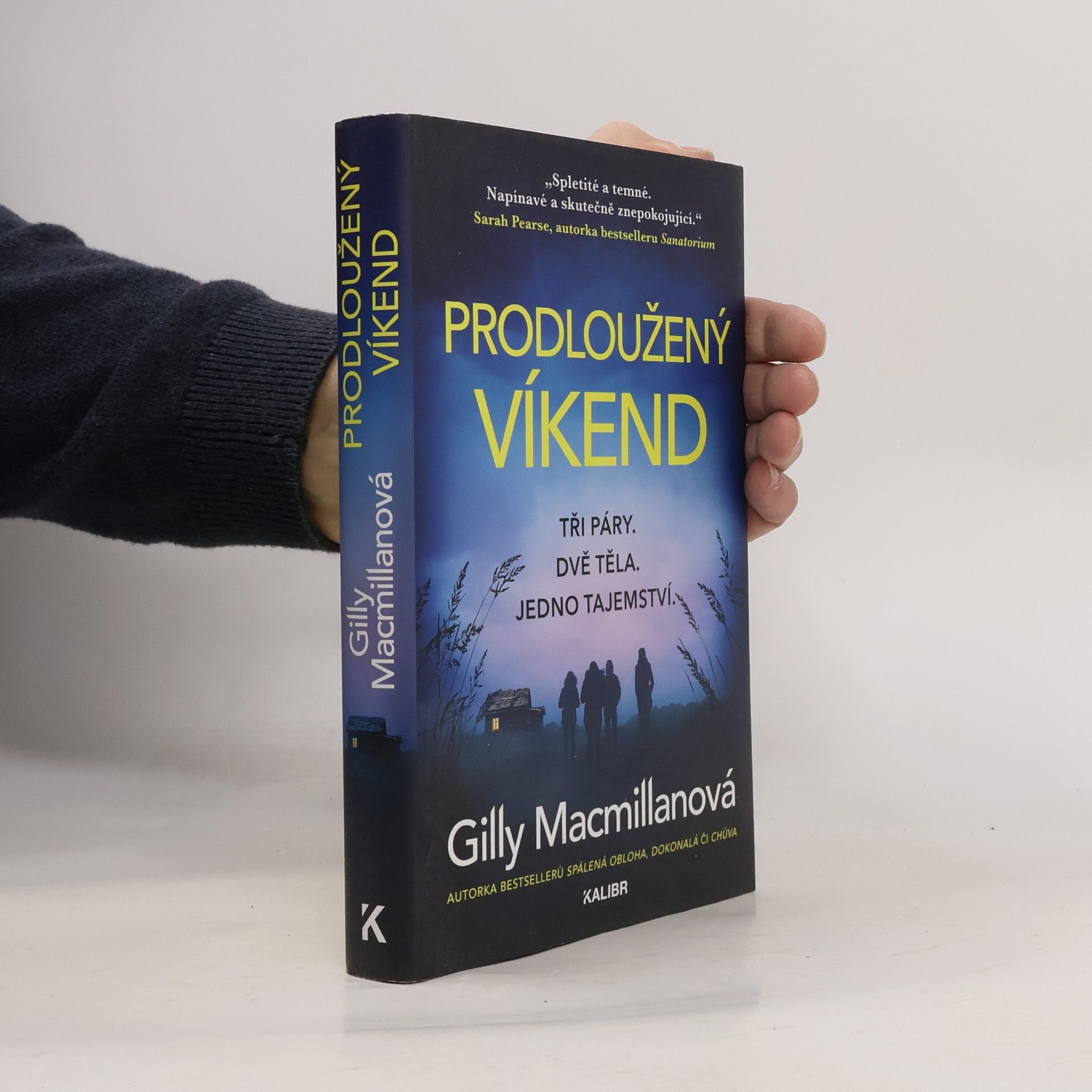 Gilly Macmillan Prodloužený víkend