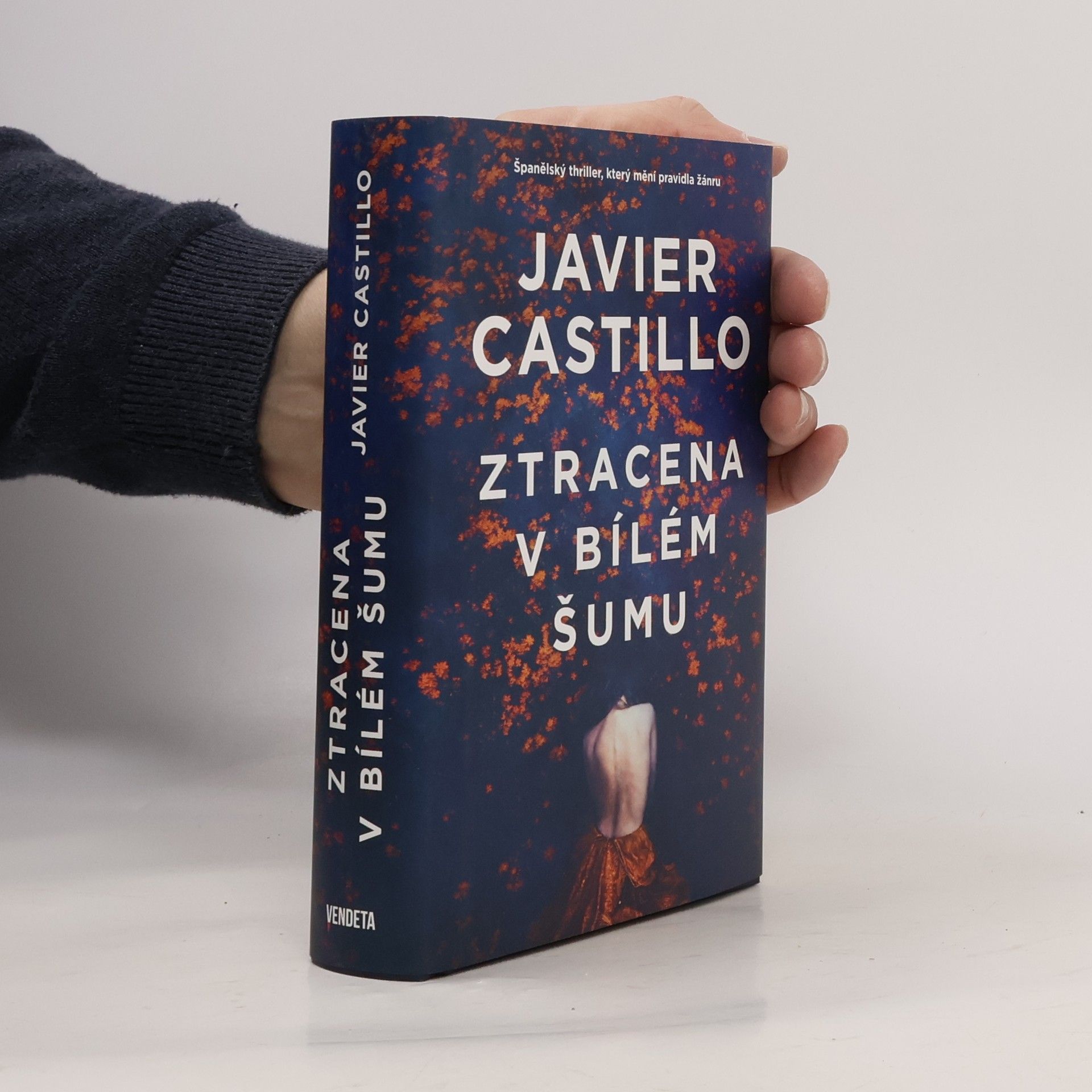 Javier Castillo Ztracena v bílém šumu