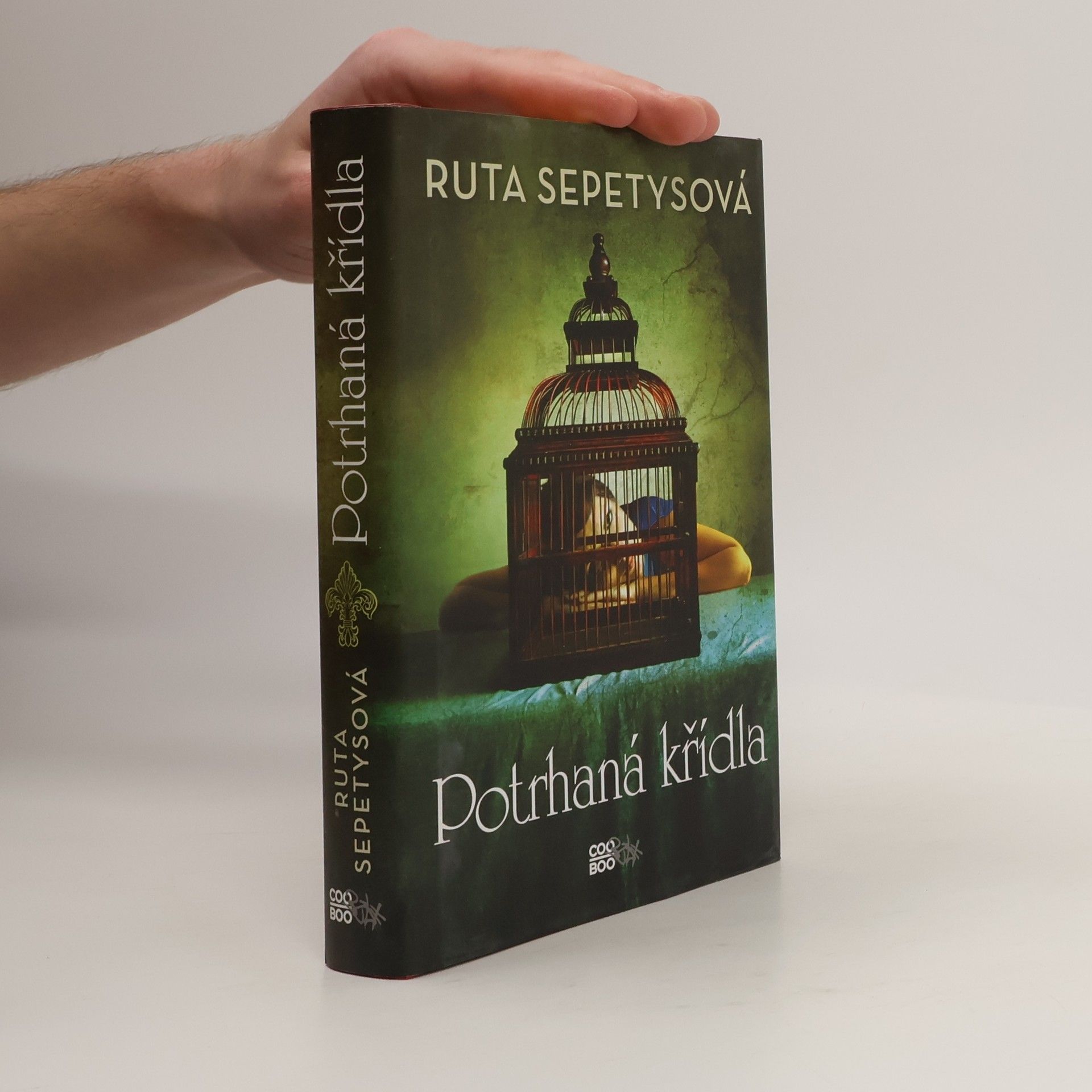 Ruta Sepetys Potrhaná křídla