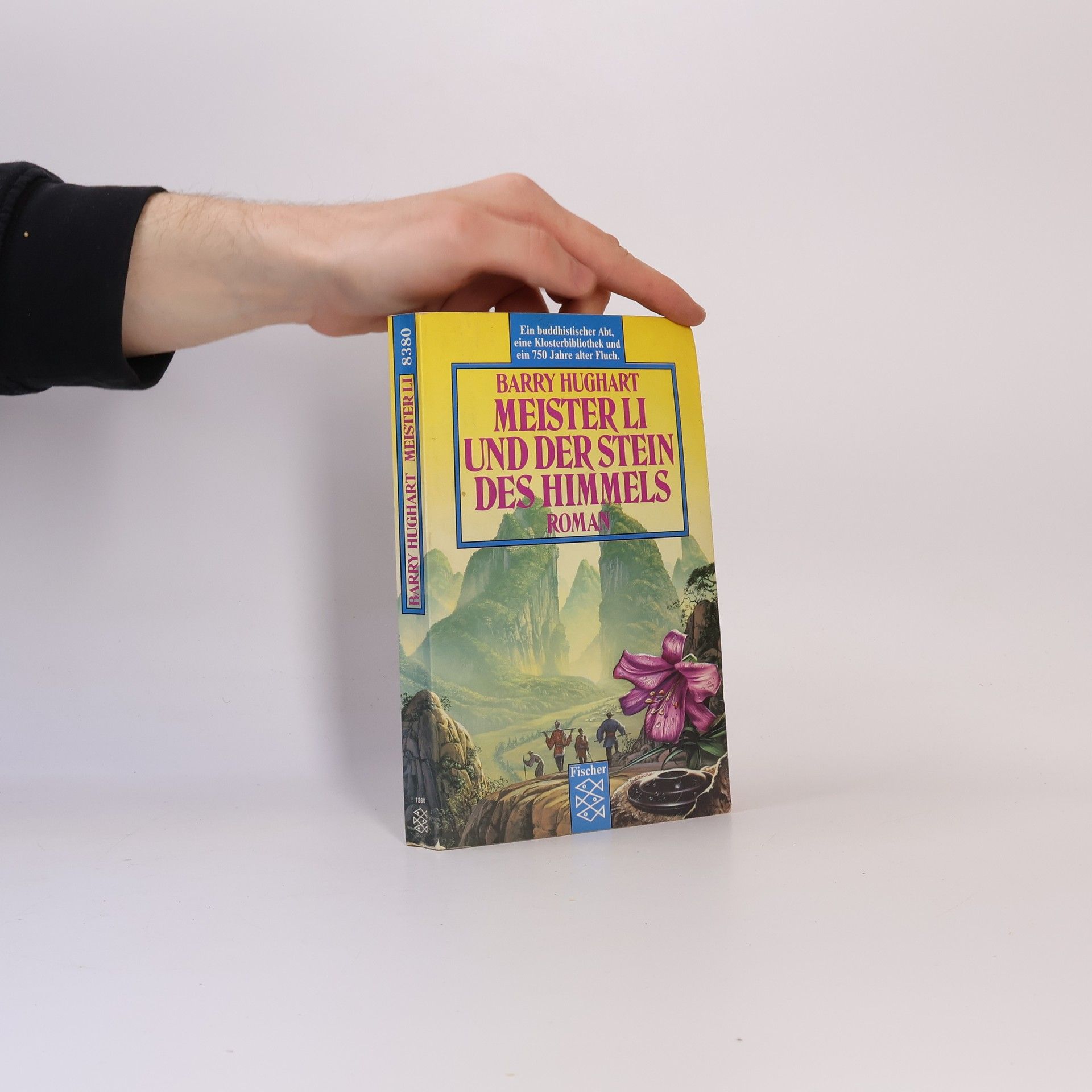 Meister Li und der Stein des Himmels