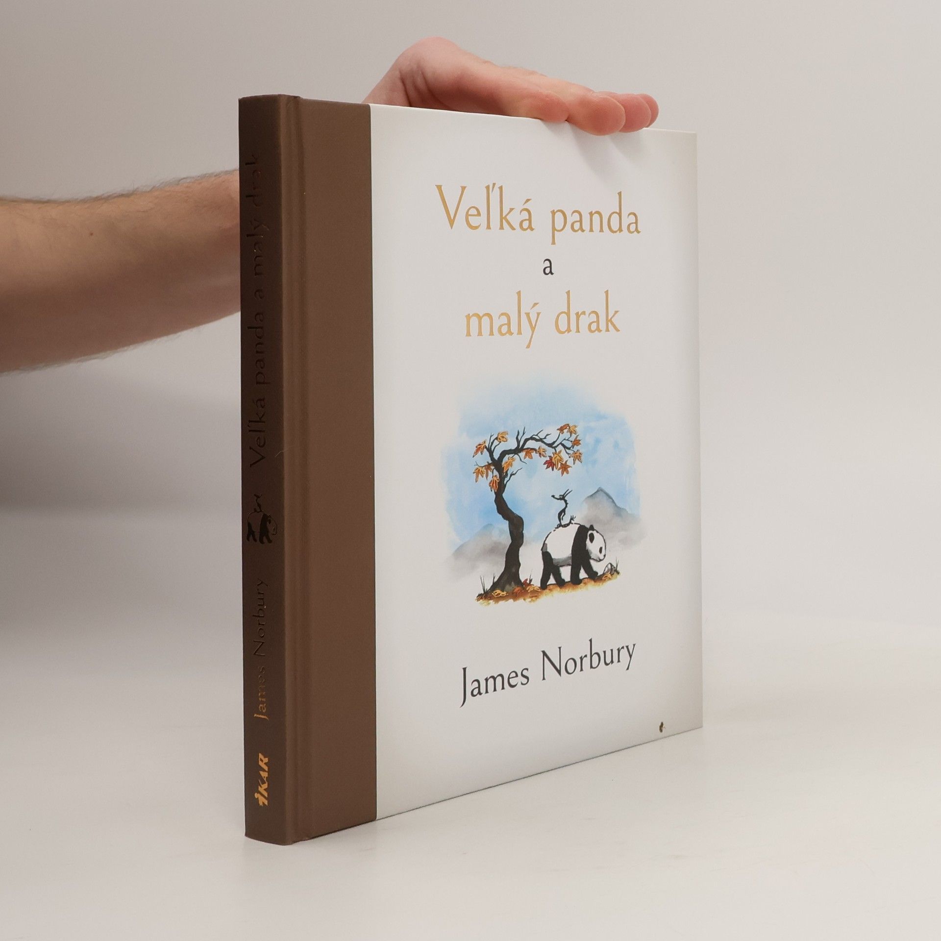 James Norbury Veľká panda a malý drak