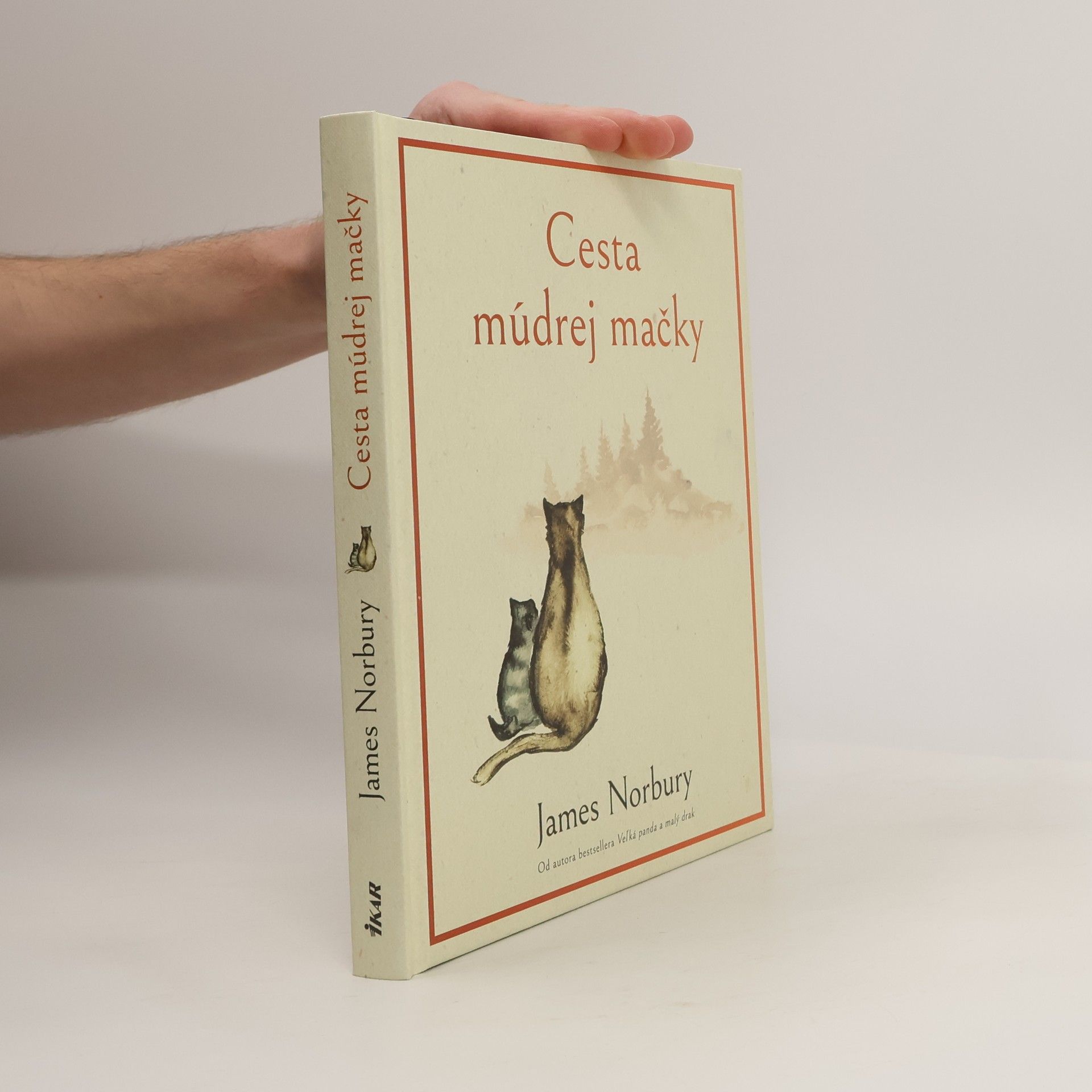 James Norbury Cesta múdrej mačky
