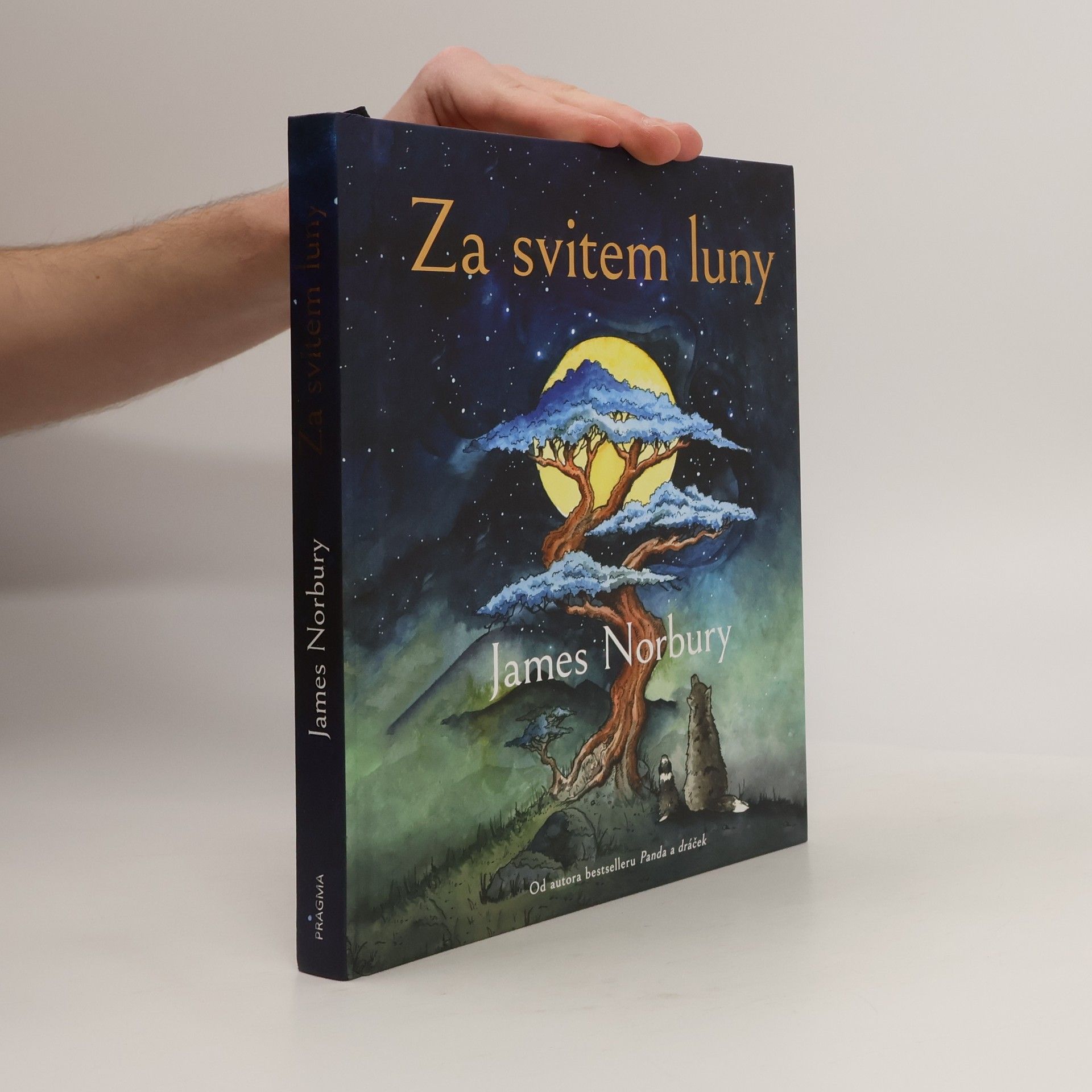 James Norbury Za svitem luny