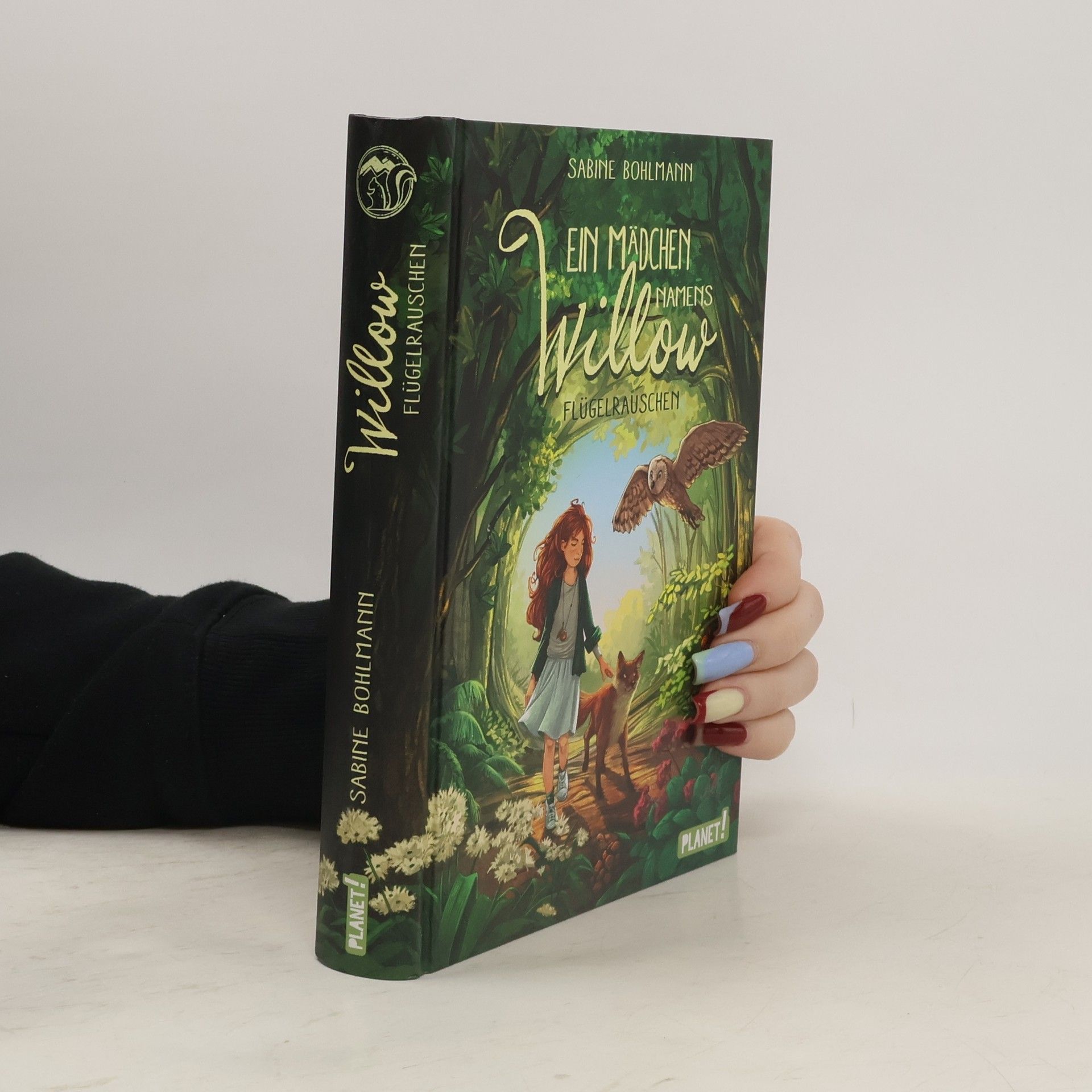 Sabine Bohlmann Ein Mädchen namens Willow - Flügelrauschen