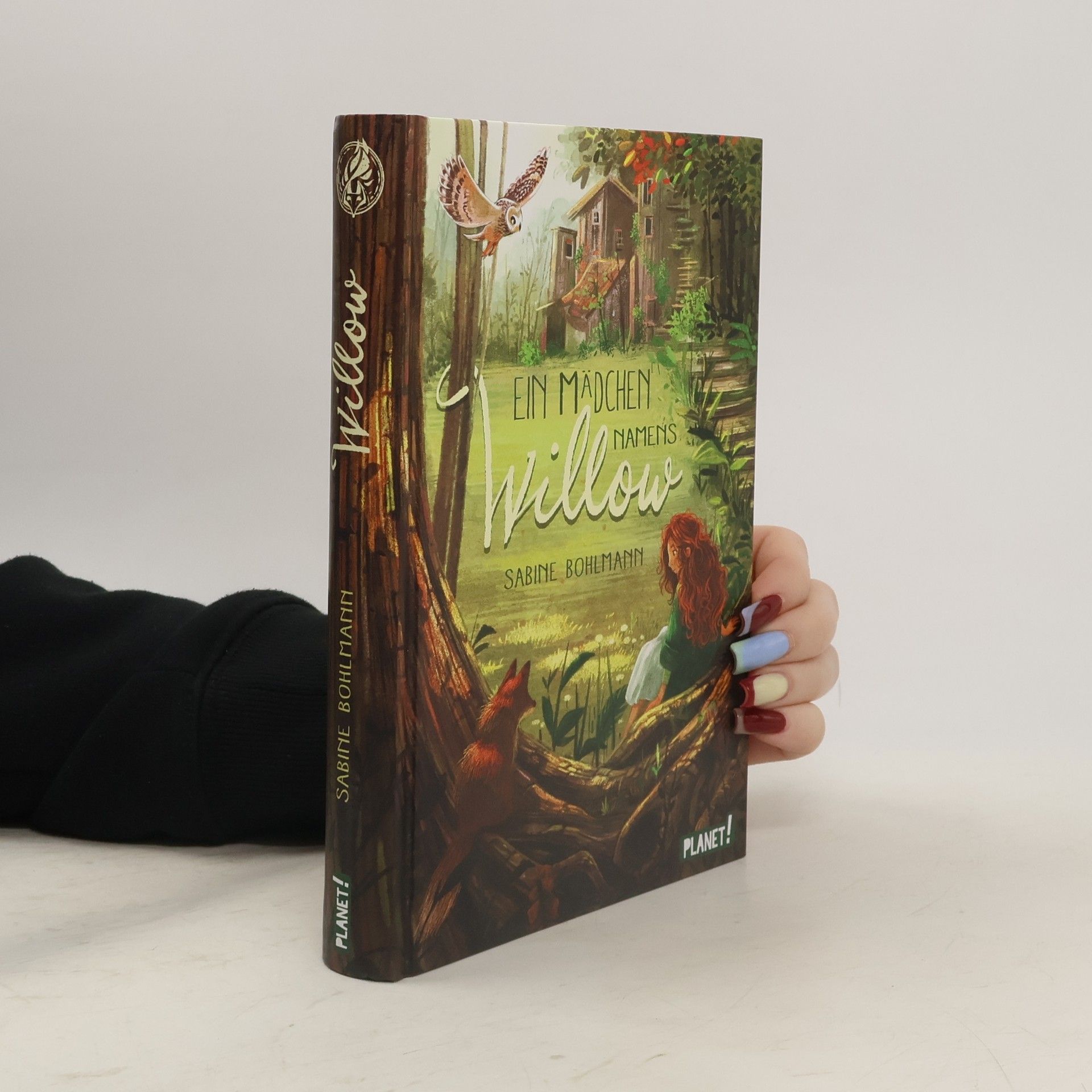 Sabine Bohlmann Ein Mädchen namens Willow