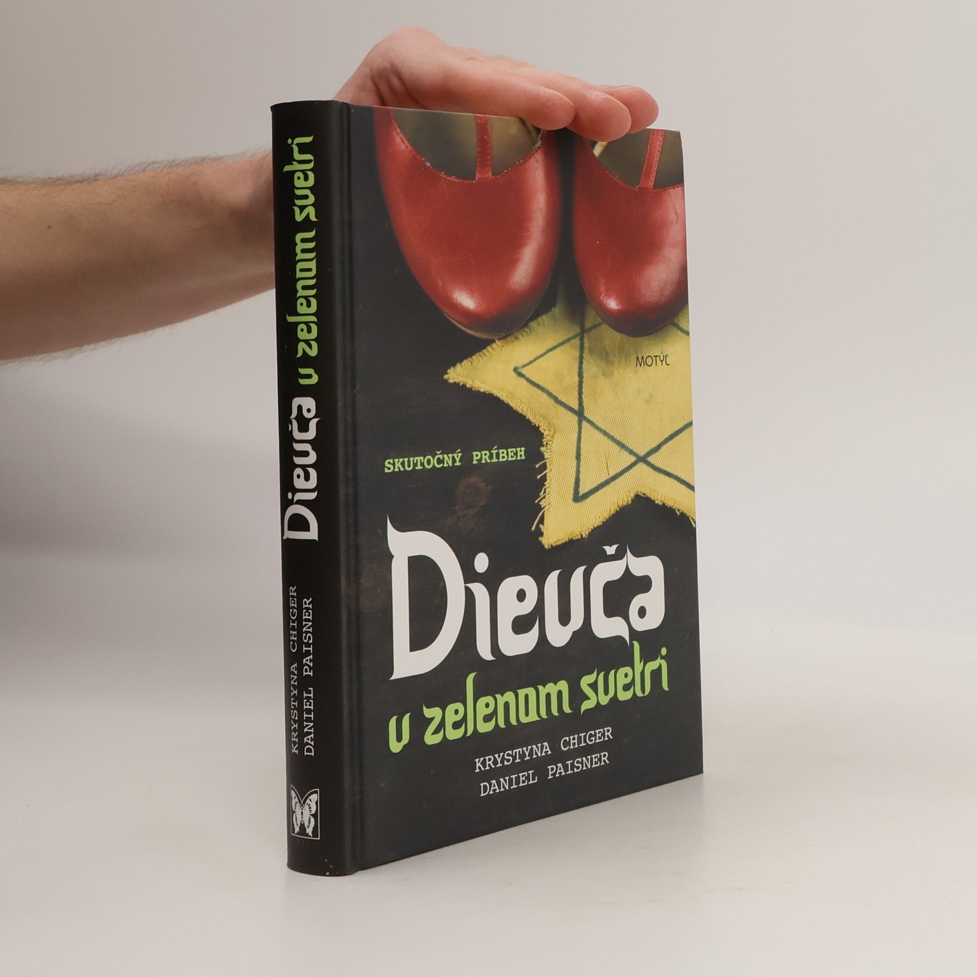 Daniel Paisner Dievča v zelenom svetri