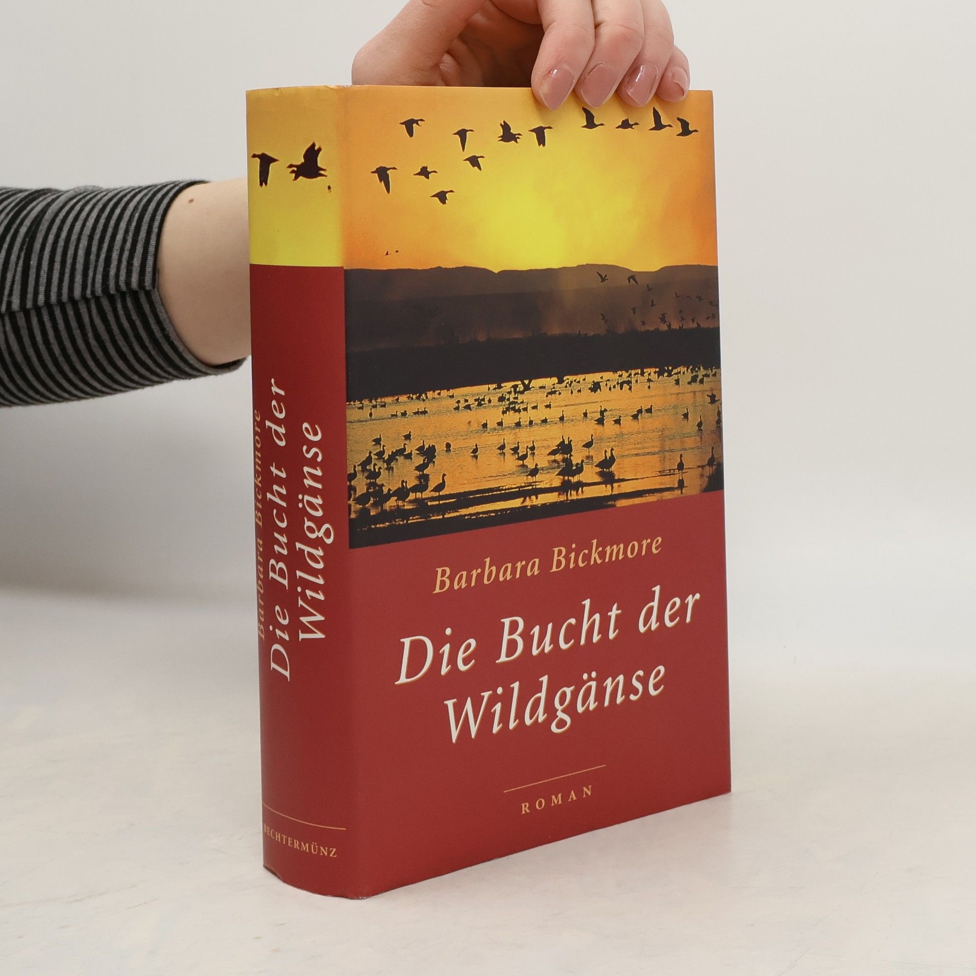 Barbara Bickmore Die Bucht der Wildgänse