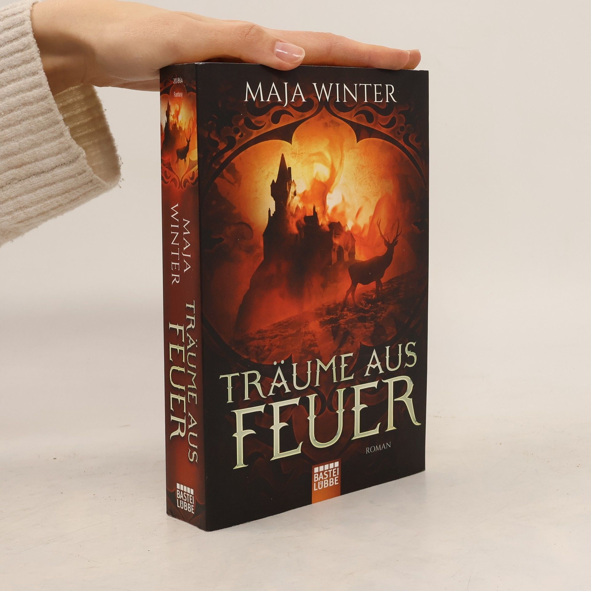 Maja Winter Träume aus Feuer