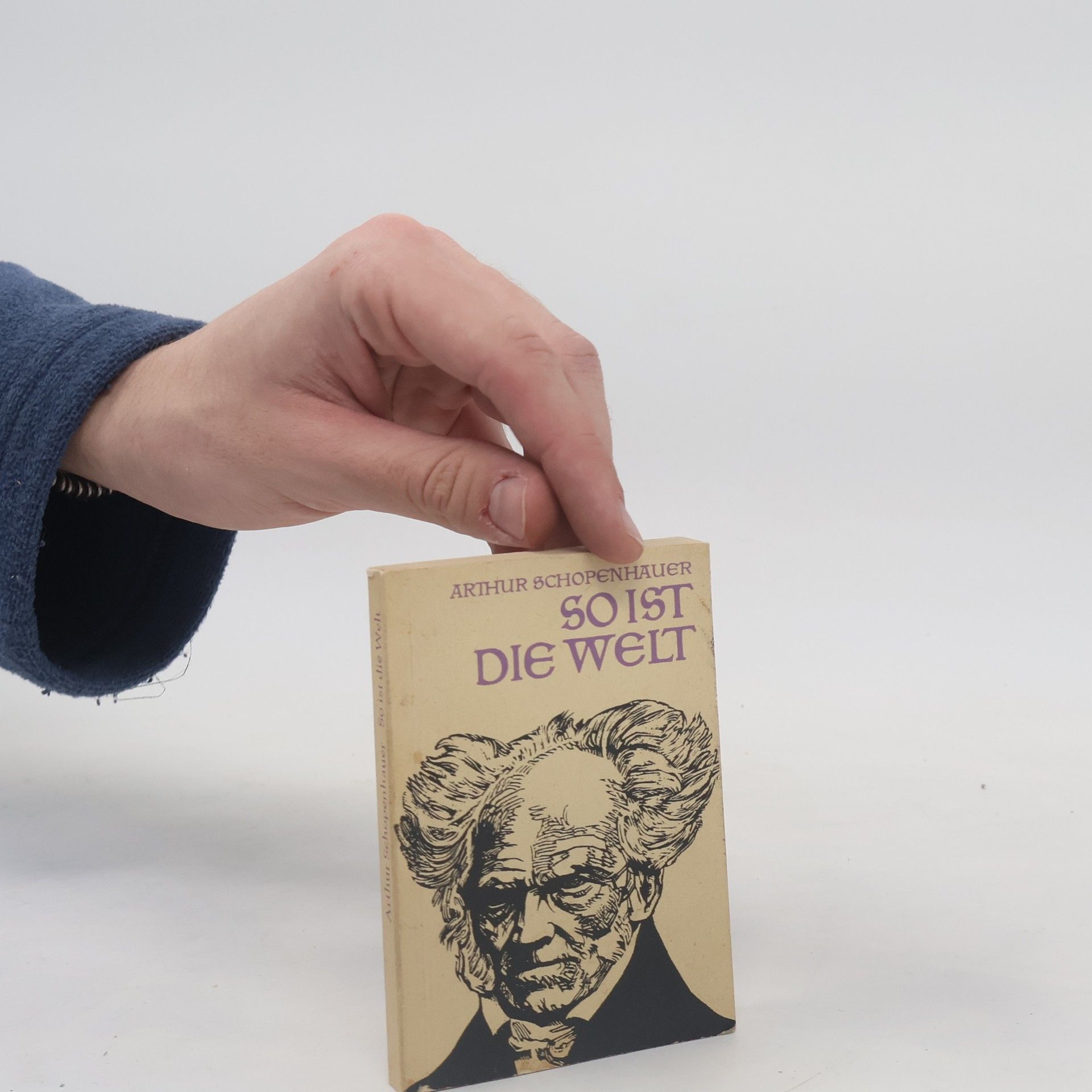 Arthur Schopenhauer So ist die Welt