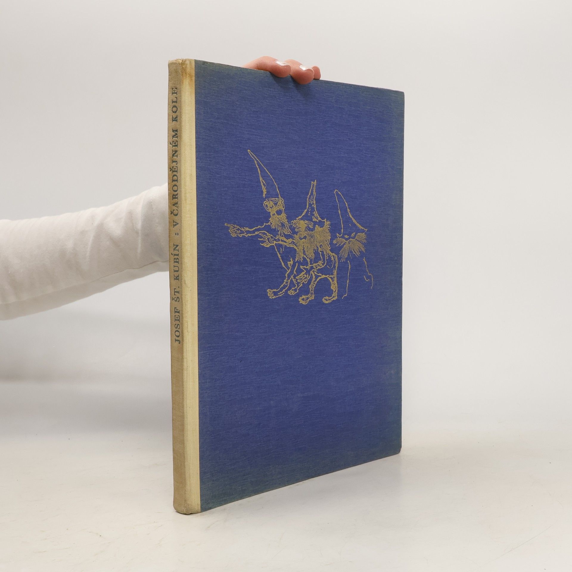 Josef Štefan Kubín V čarodějném kole