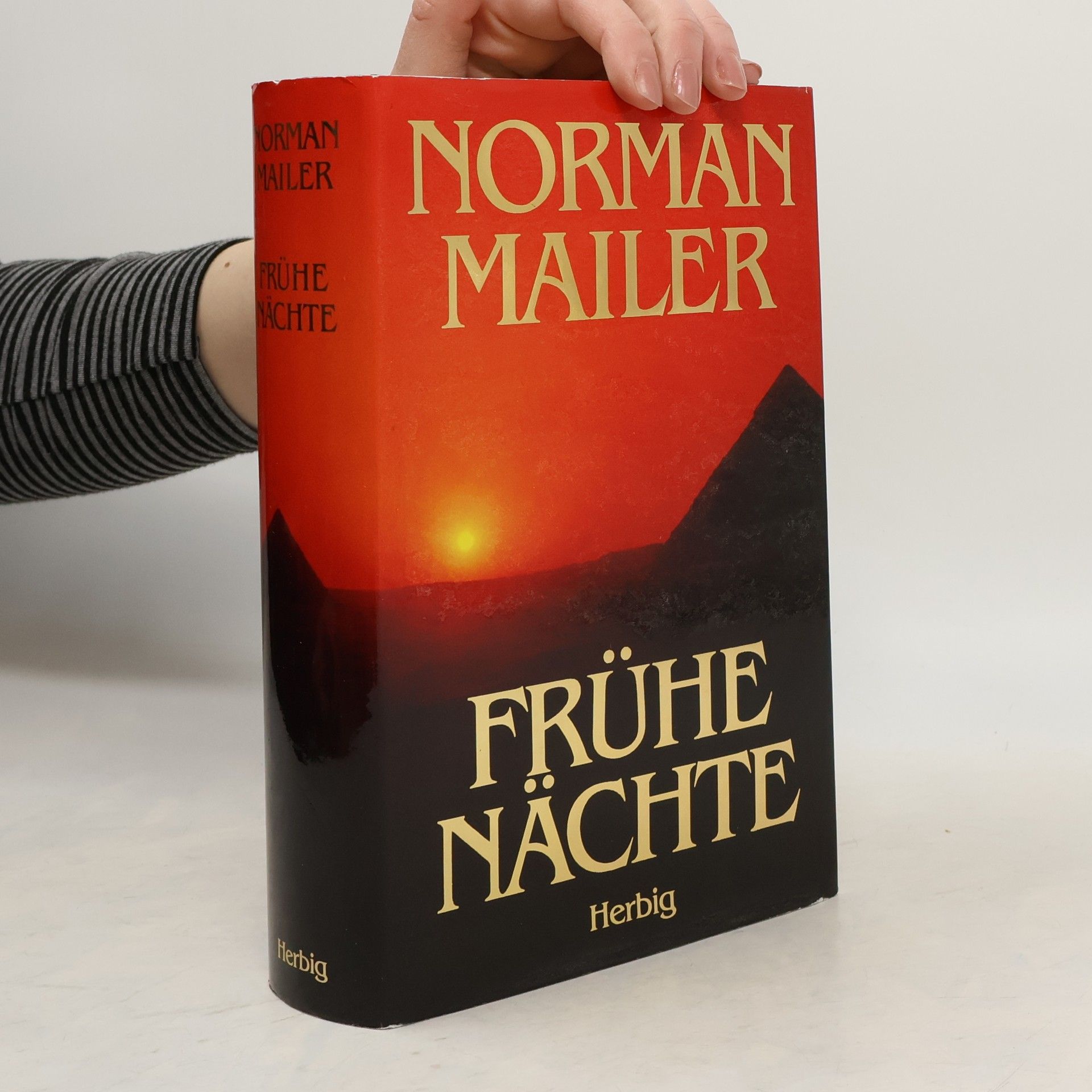 Norman Mailer Frühe Nächte