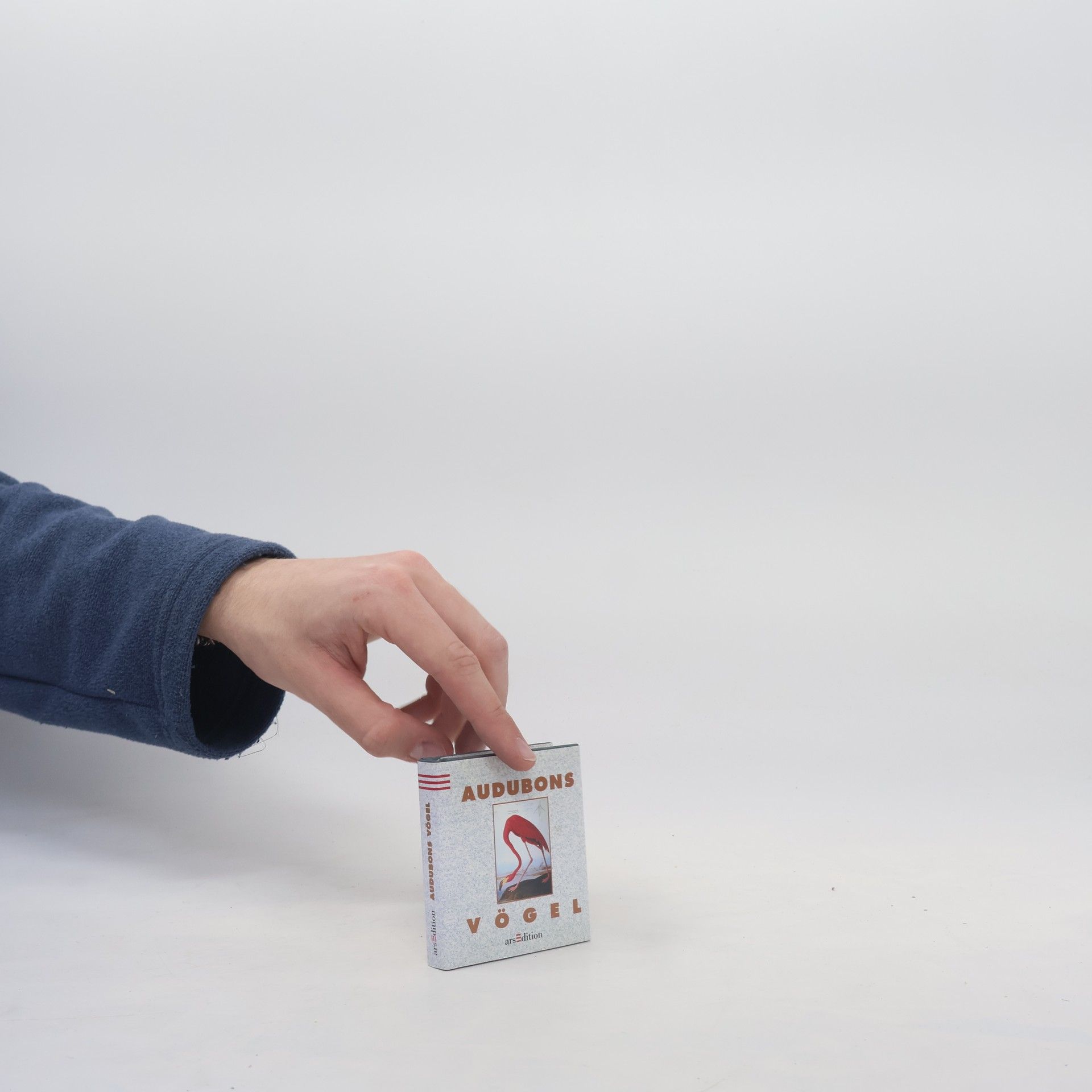 John James Audubon Audubons Vögel