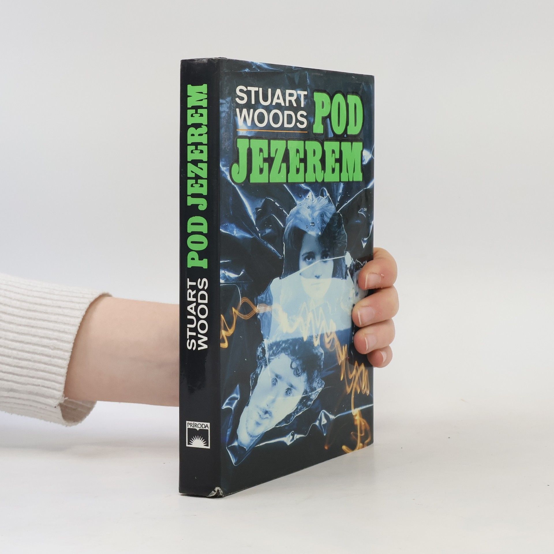 Stuart Woods Pod jezerem