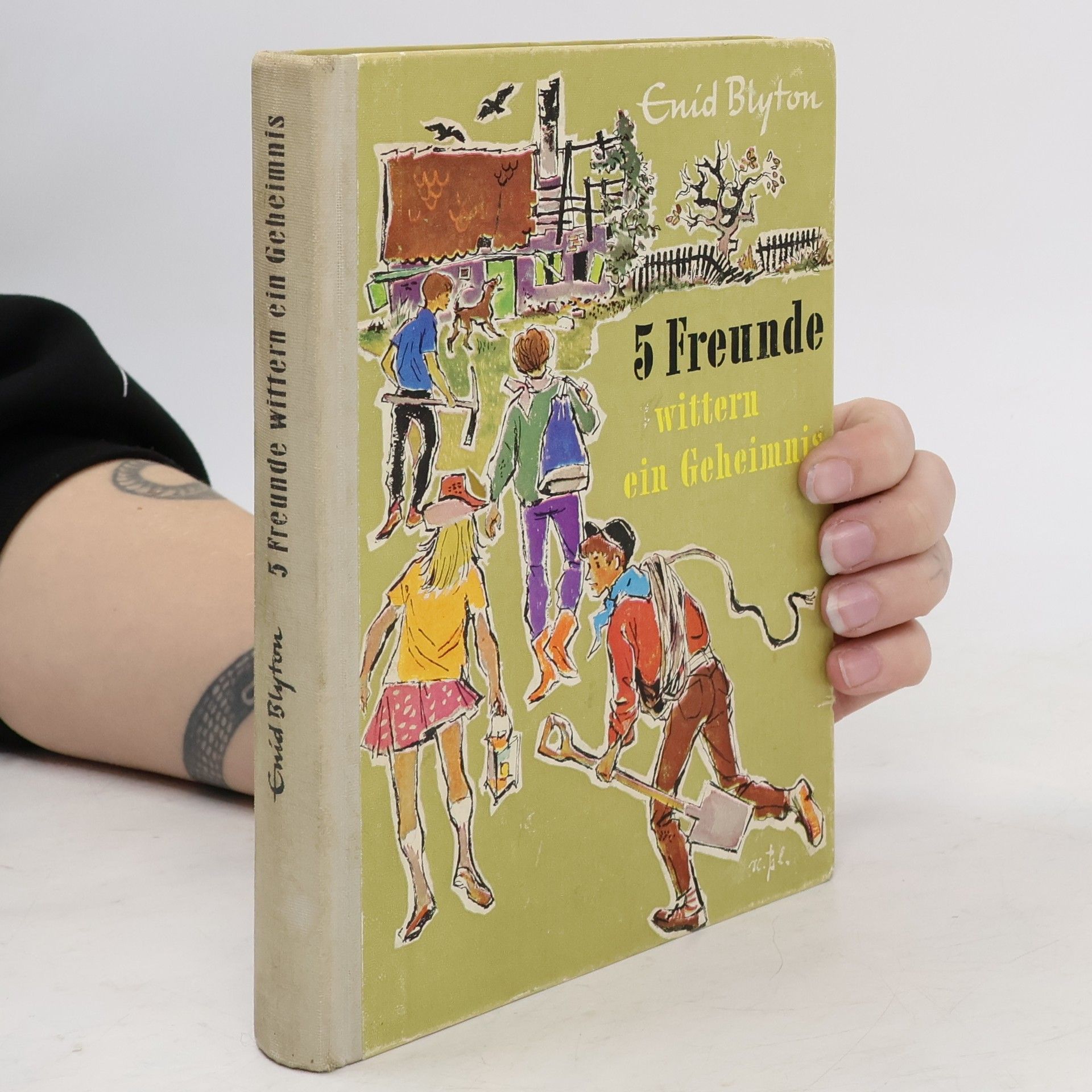 Enid Blyton 5 Freunde wittern ein Geheimnis