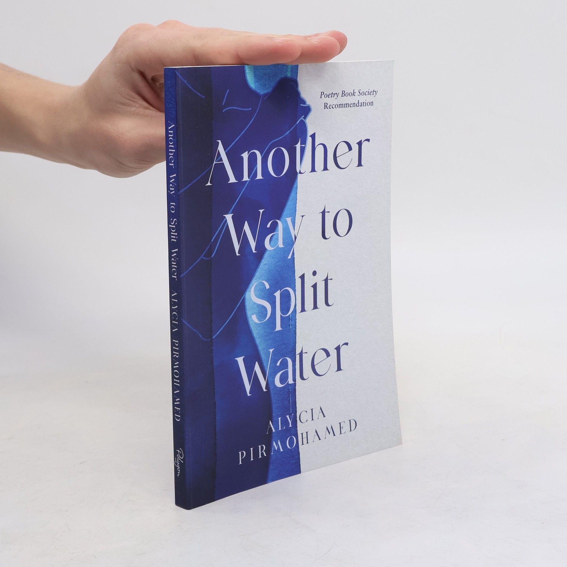 Alycia Pirmohamed Another Way to Split Water