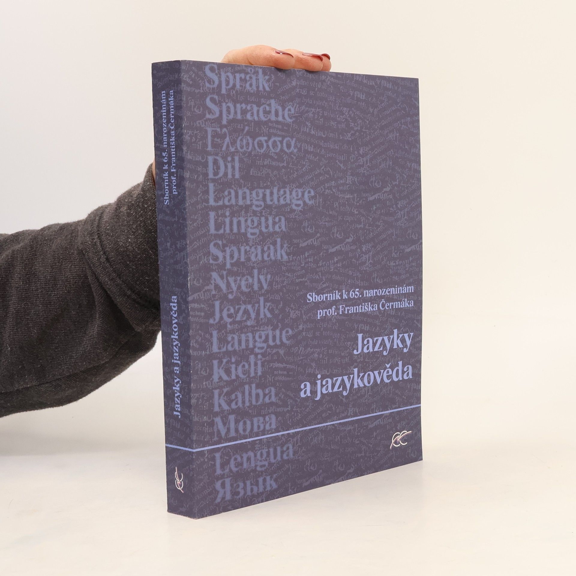 Kolektiv autorů Jazyky a jazykověda