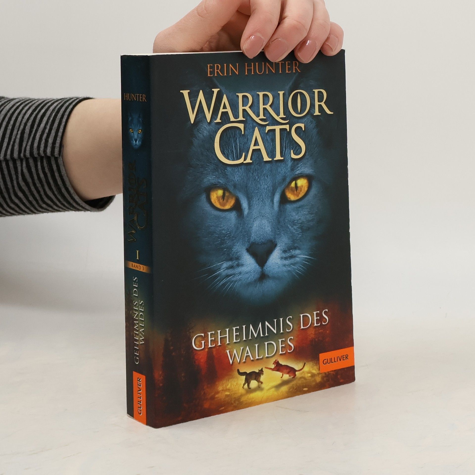 Warrior Cats. Geheimnis des Waldes
