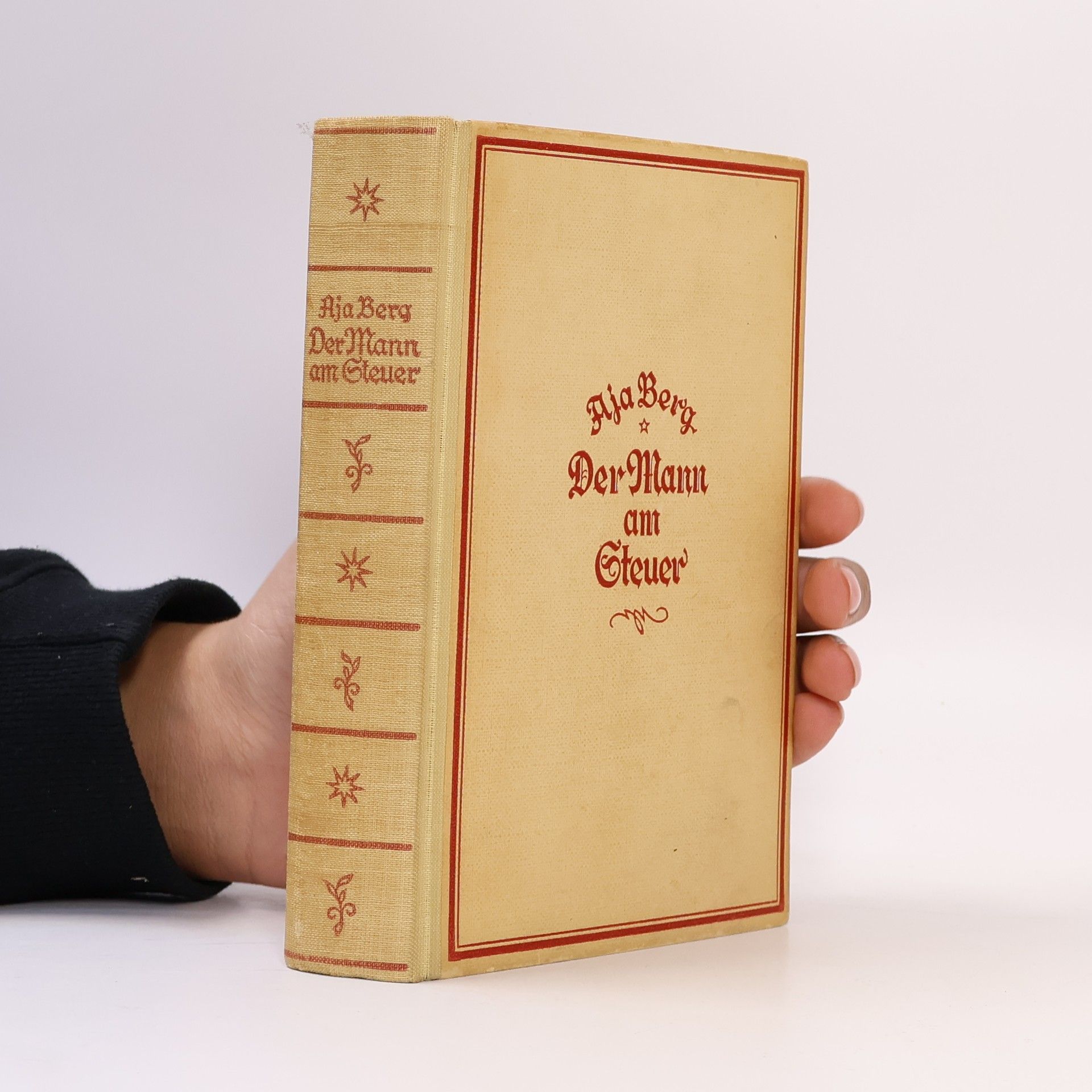 Aja Berg Der Mann am Steuer