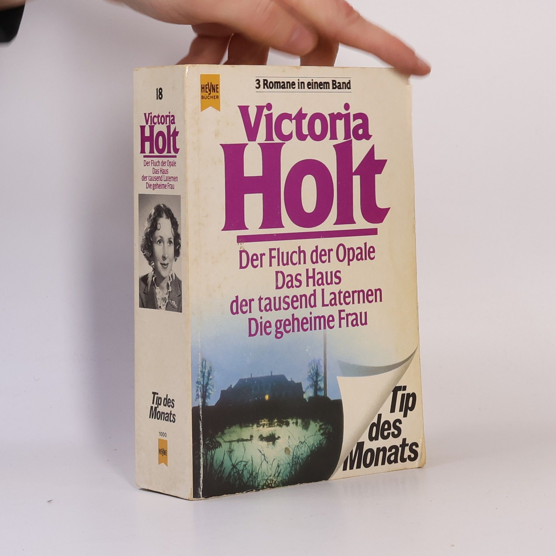 Eleanor Burford Der Fluch der Opale; Das Haus der tausend Laternen; Die geheime Frau