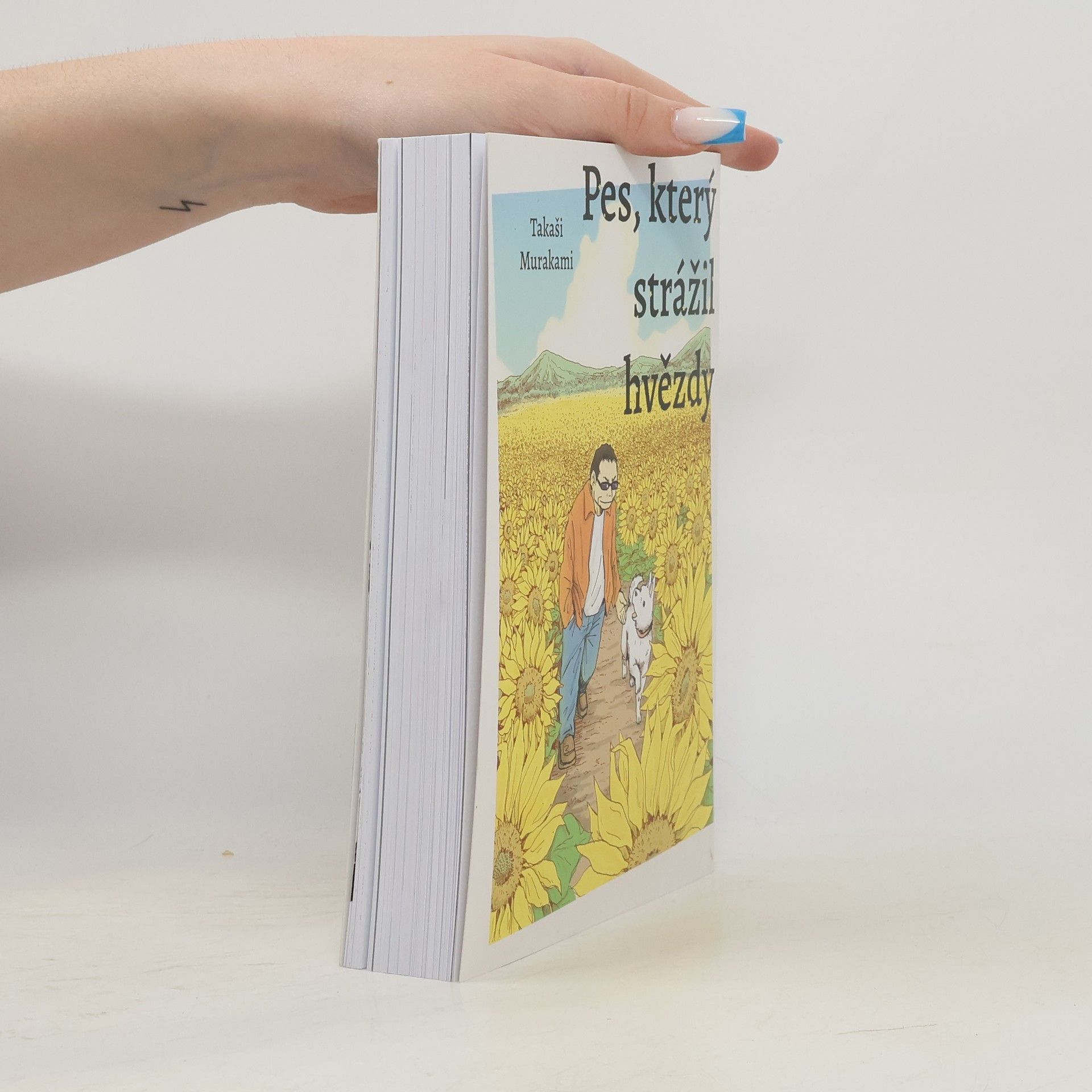 Takaši Murakami Pes, který strážil hvězdy