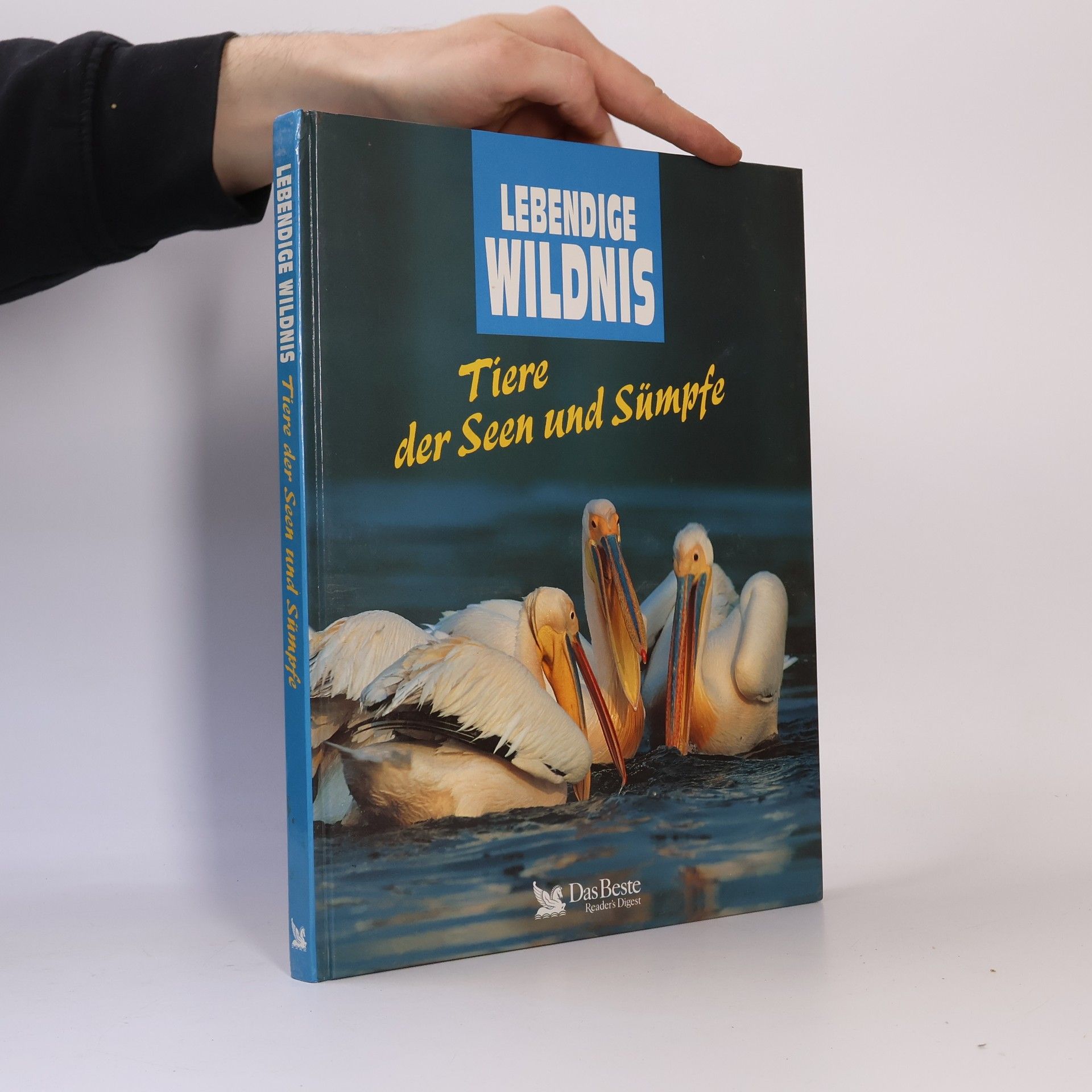 Tiere der Seen und Sümpfe