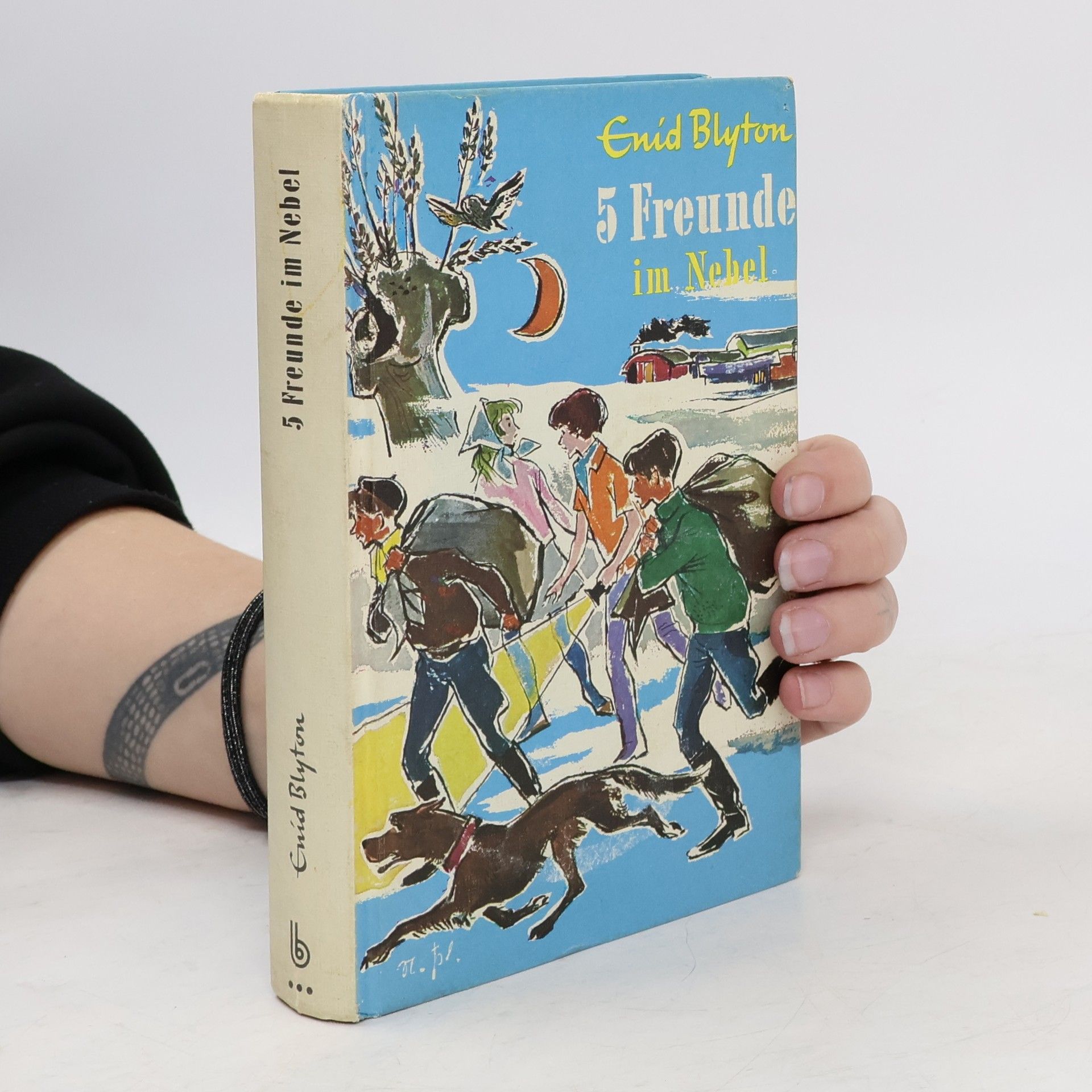 Enid Blyton 5 Freunde im Nebel