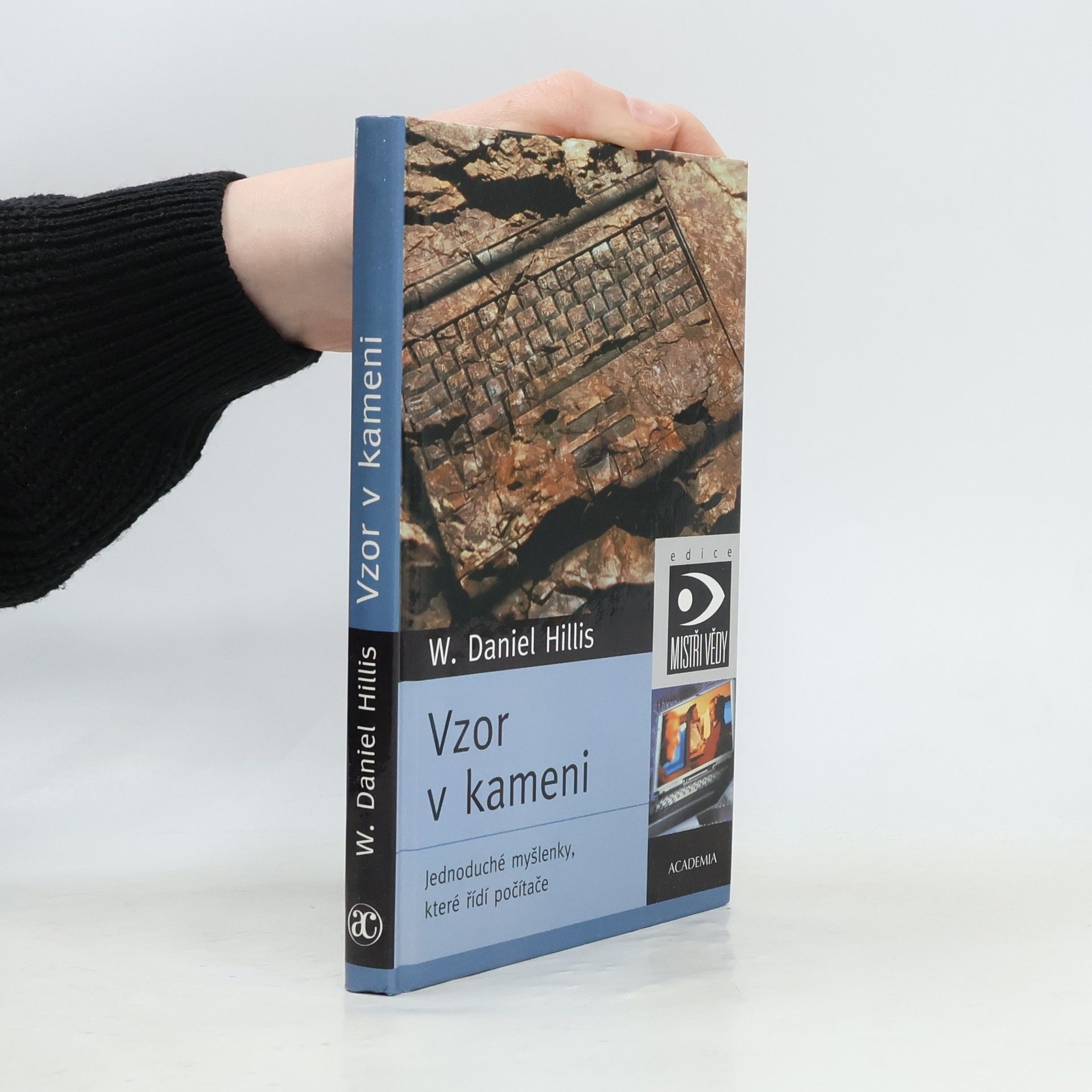 William Daniel Hillis Vzor v kameni. Jednoduché myšlenky, které řídí počítače