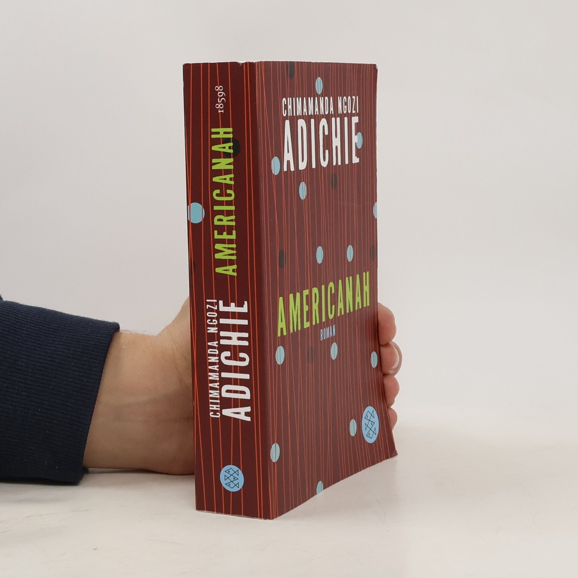 Chimamanda Ngozi Adichie Americanah