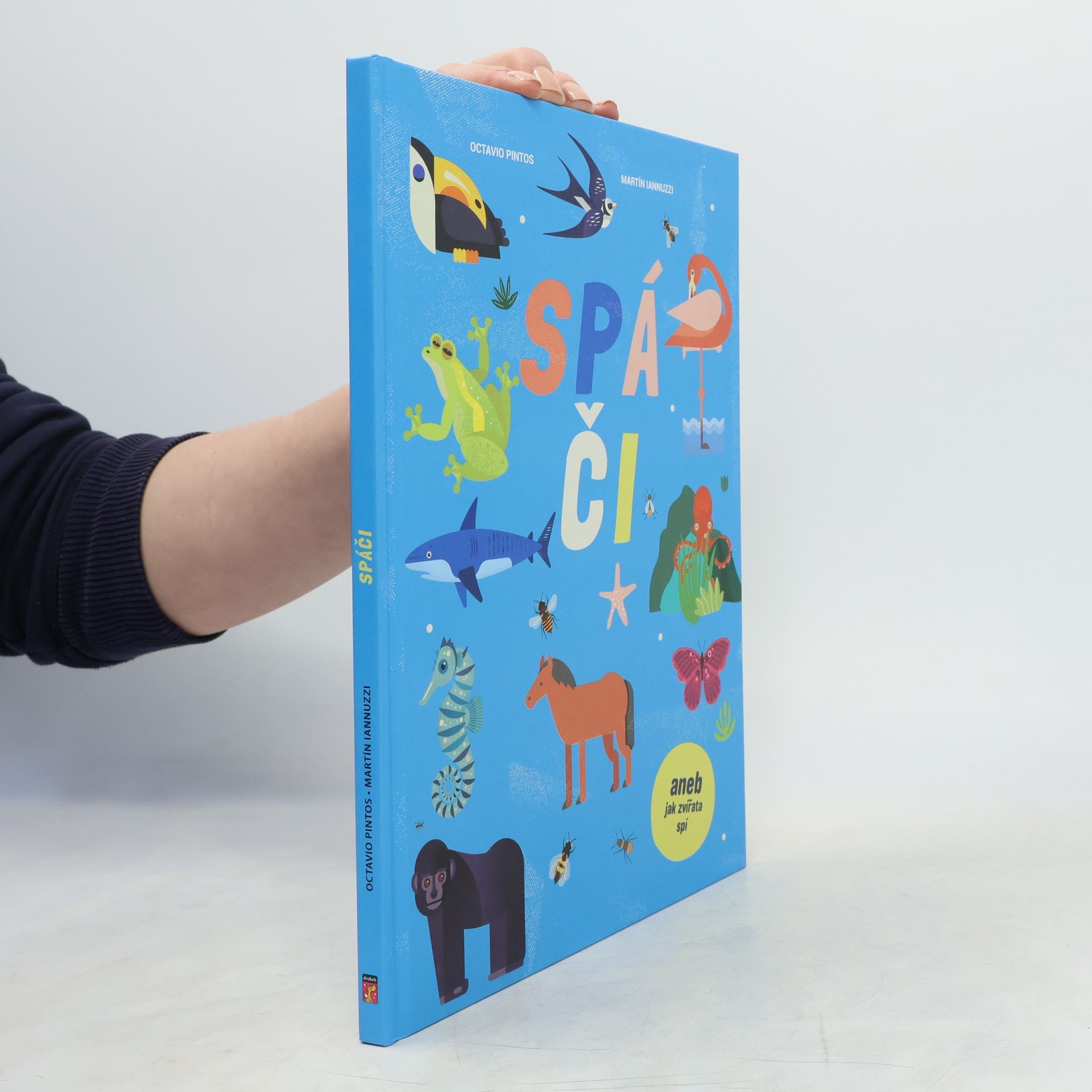 Octavio Pintos Spáči aneb jak zvířata spí