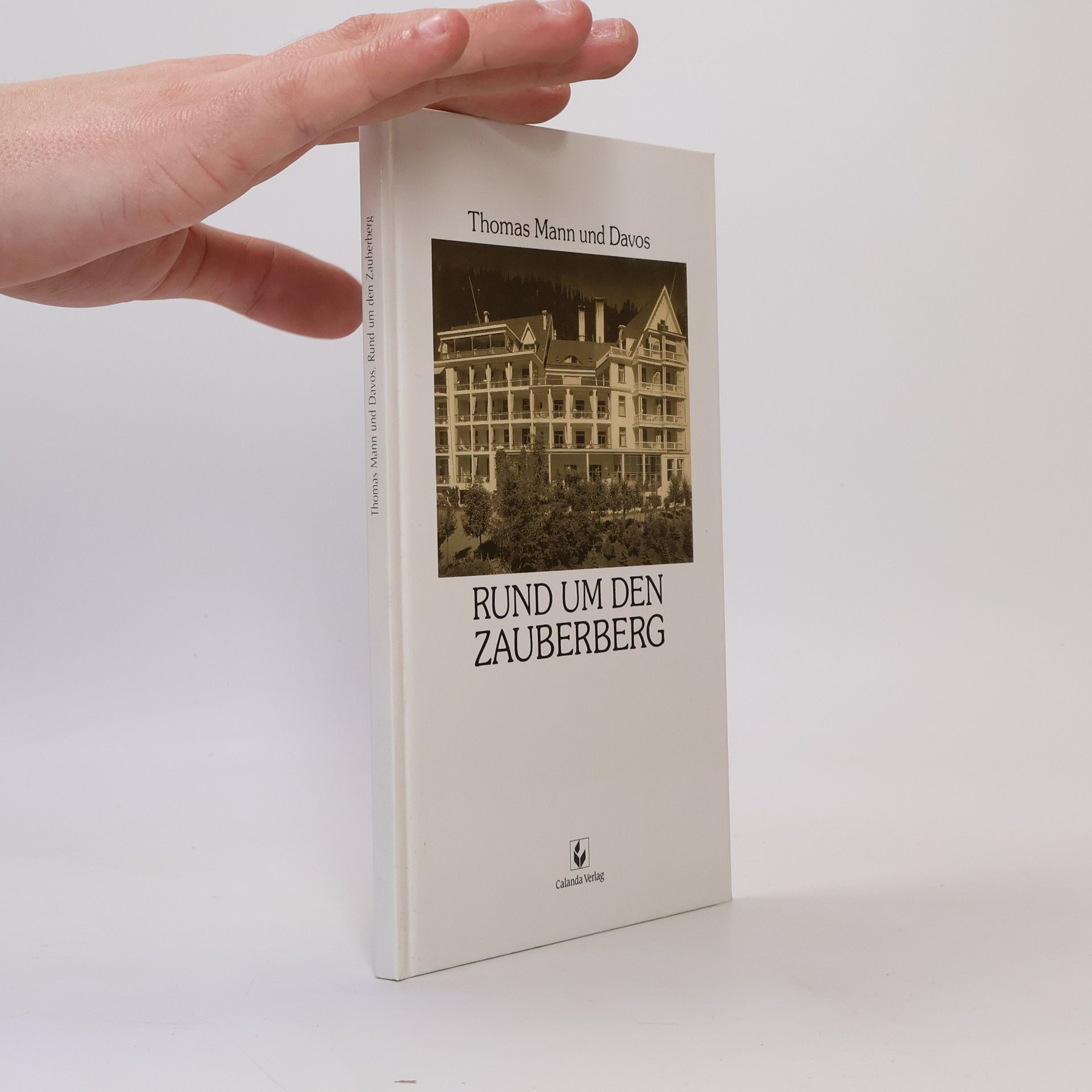 Thomas Mann Rund um den Zauberberg