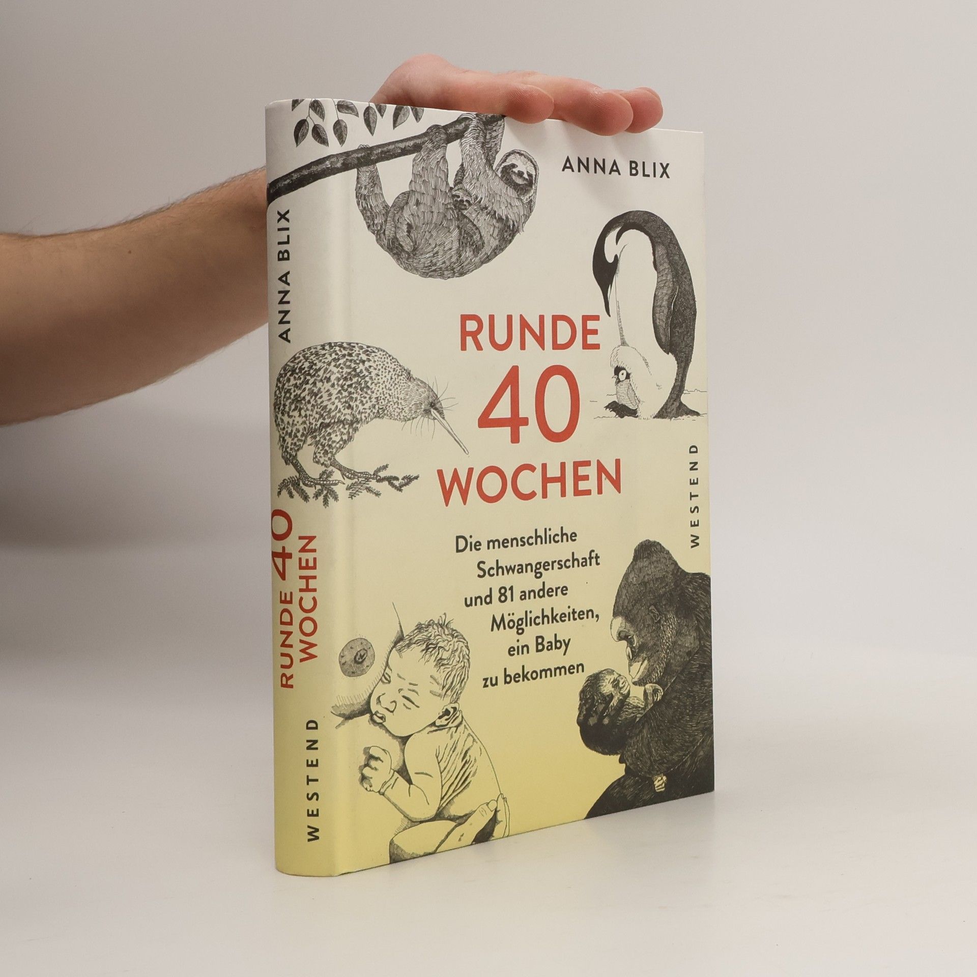 Anna Blix Runde 40 Wochen