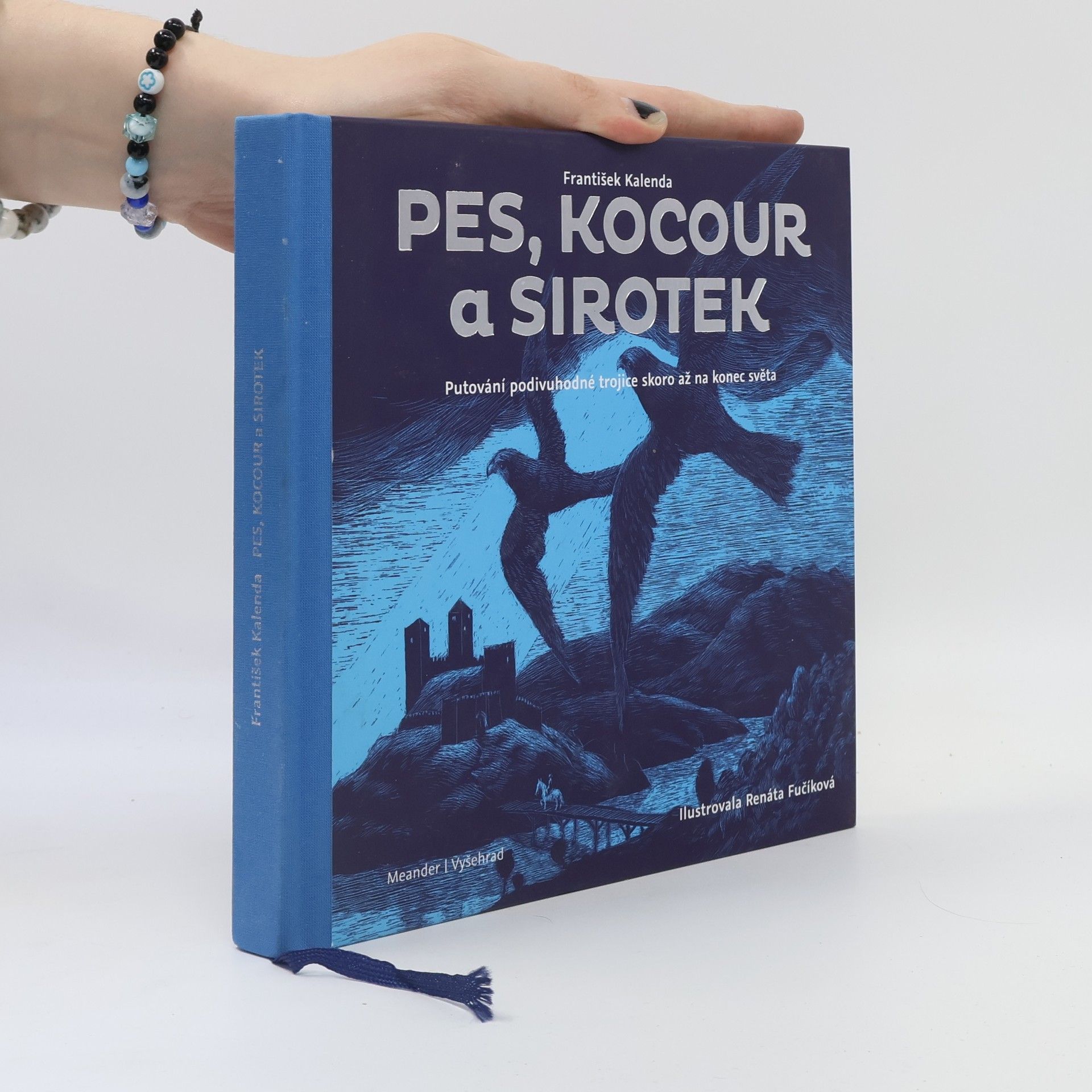 Renáta Fučíková Pes, kocour a sirotek
