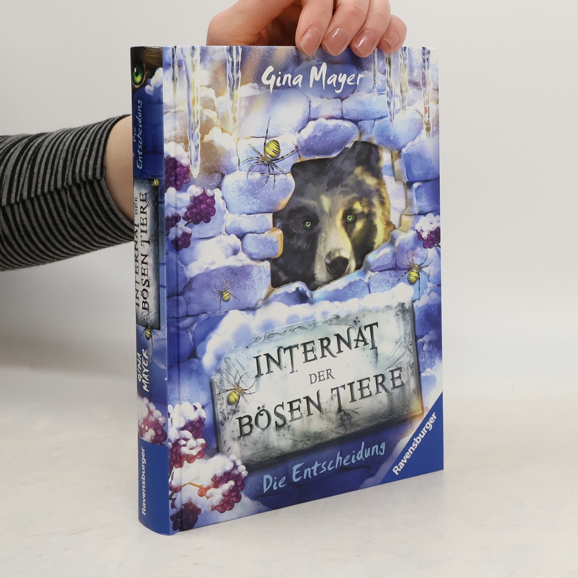 Gina Mayer Internat der bösen Tiere, Band 6: Die Entscheidung