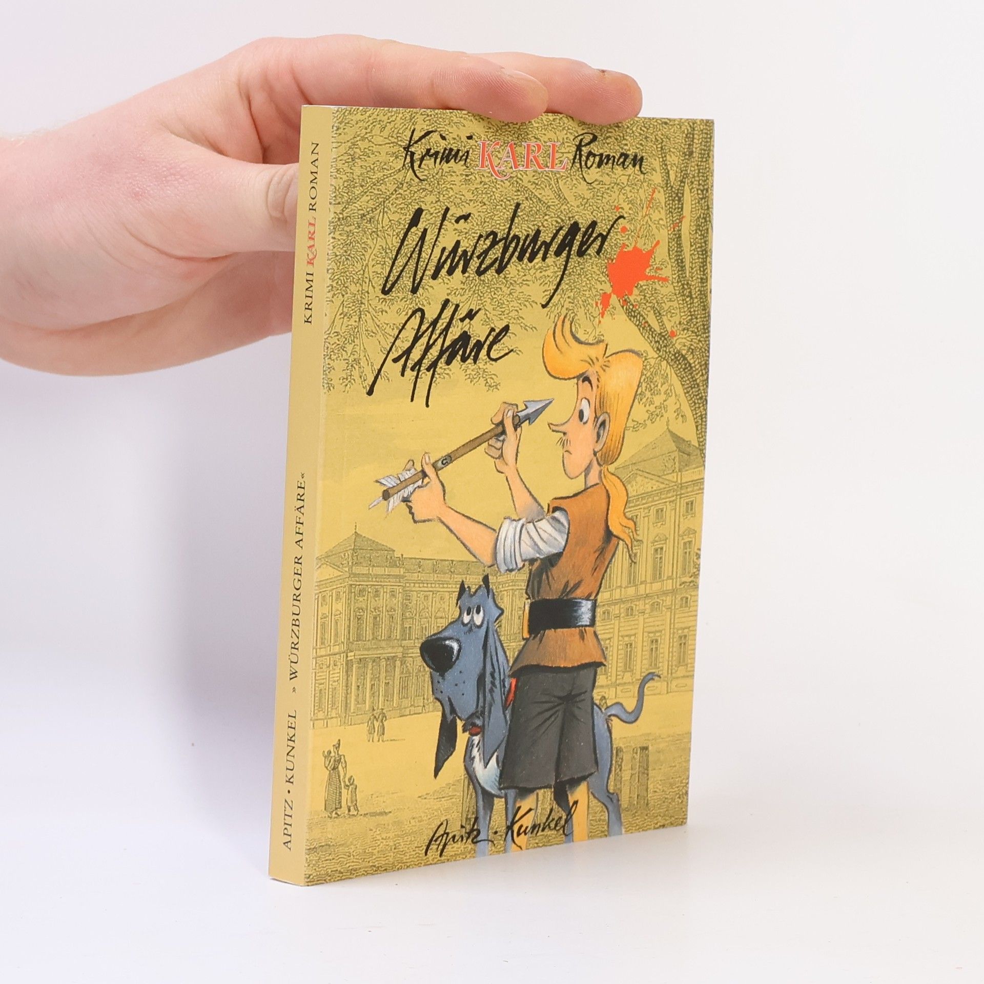 Würzburger Affäre. Ein historischer Roman