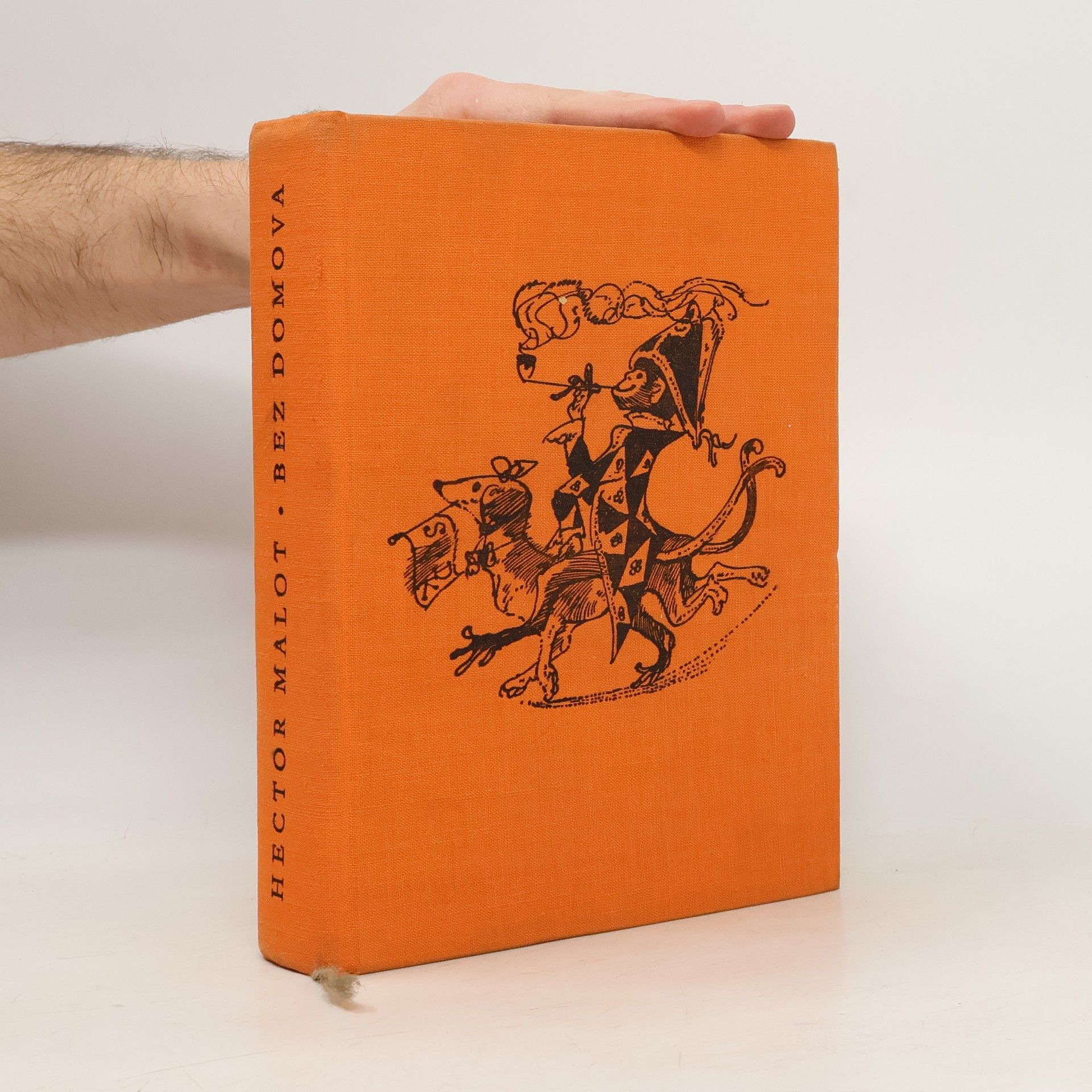 Hector Malot Bez domova