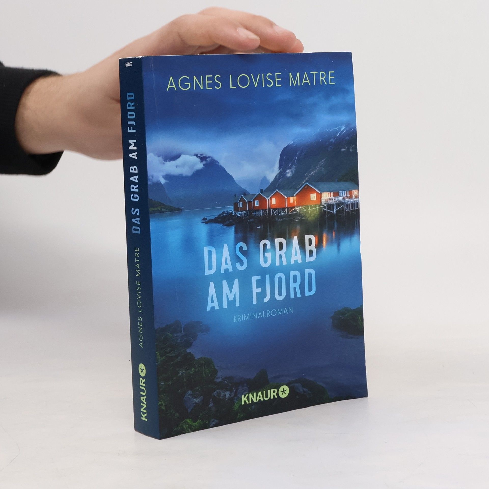 Agnes Lovise Matre Das Grab am Fjord