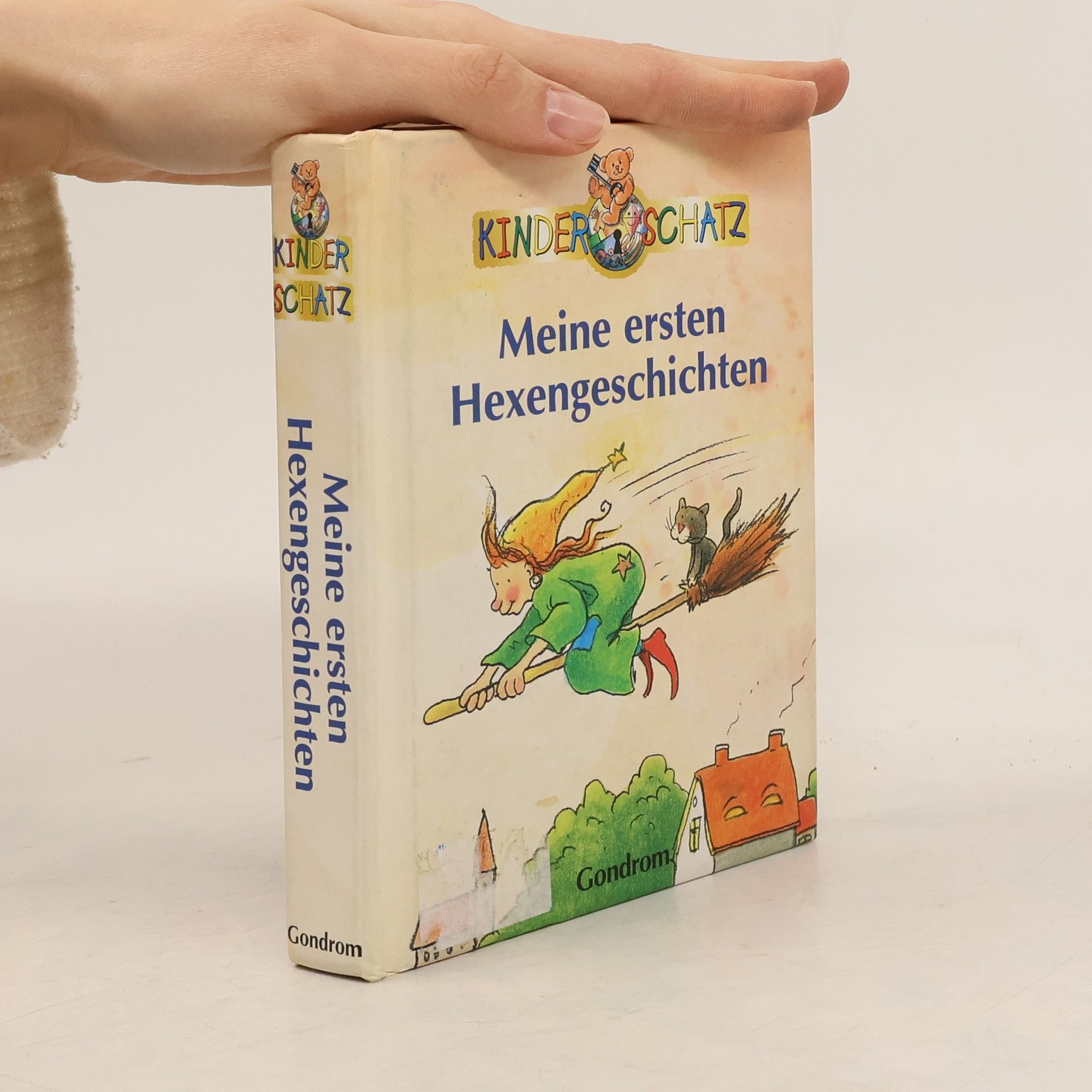 Belinda Rodik Meine ersten Hexengeschichten