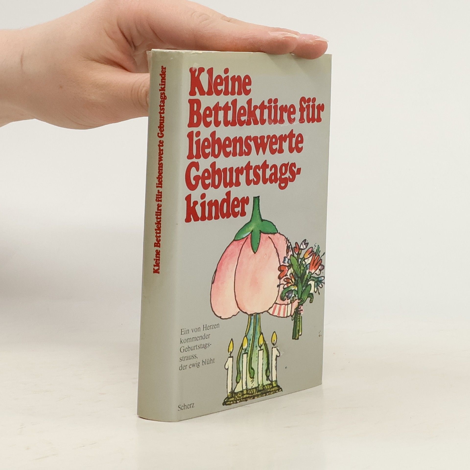 Kolektiv autorů Kleine Bettlektüre für liebenswerte Geburtstagskinder