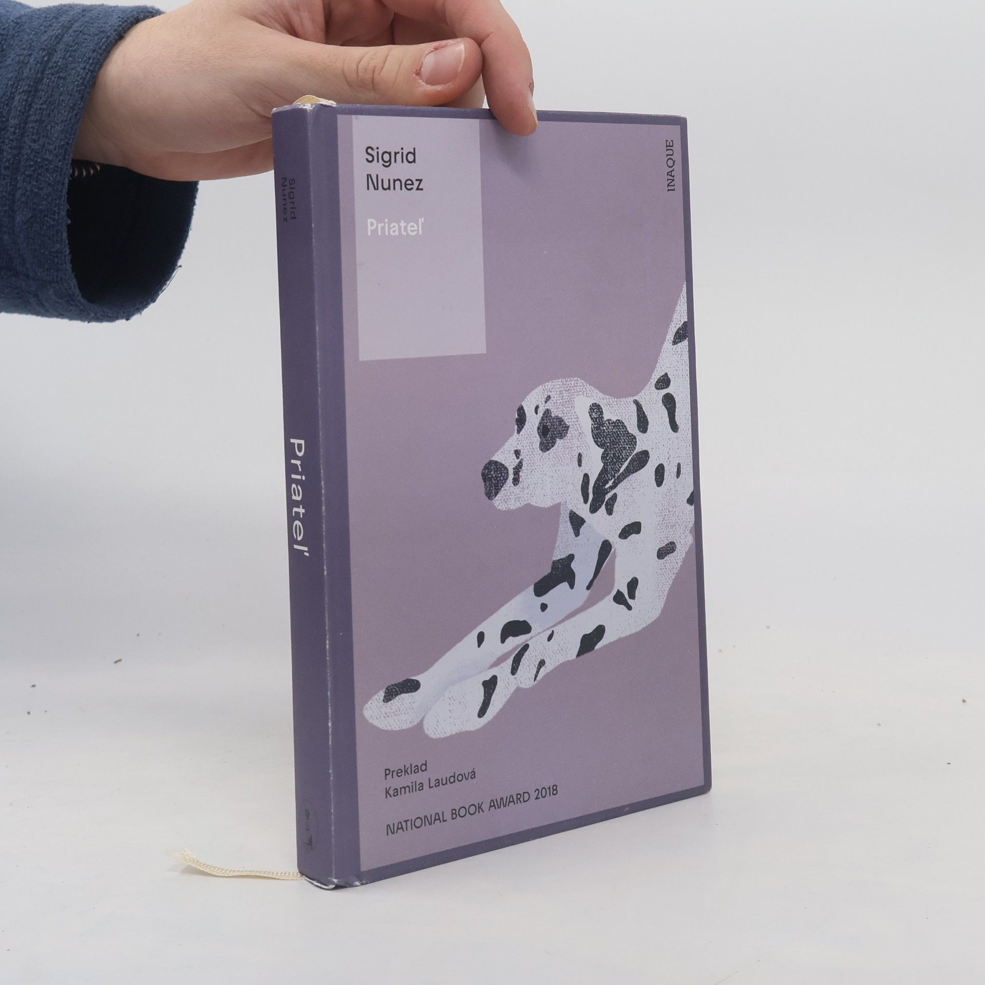 Sigrid Nunez Priateľ