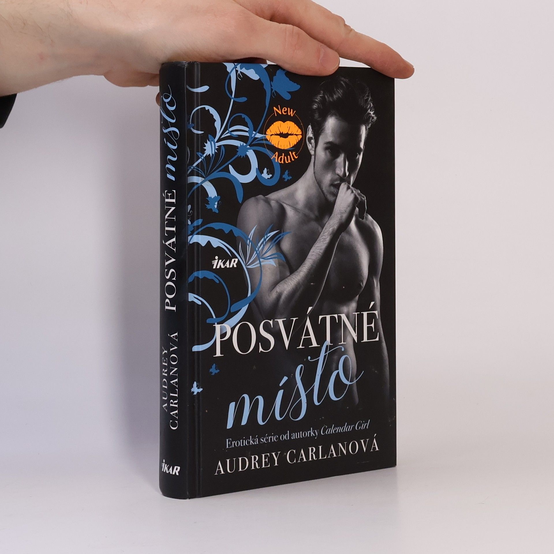 Audrey Carlan Posvátné místo