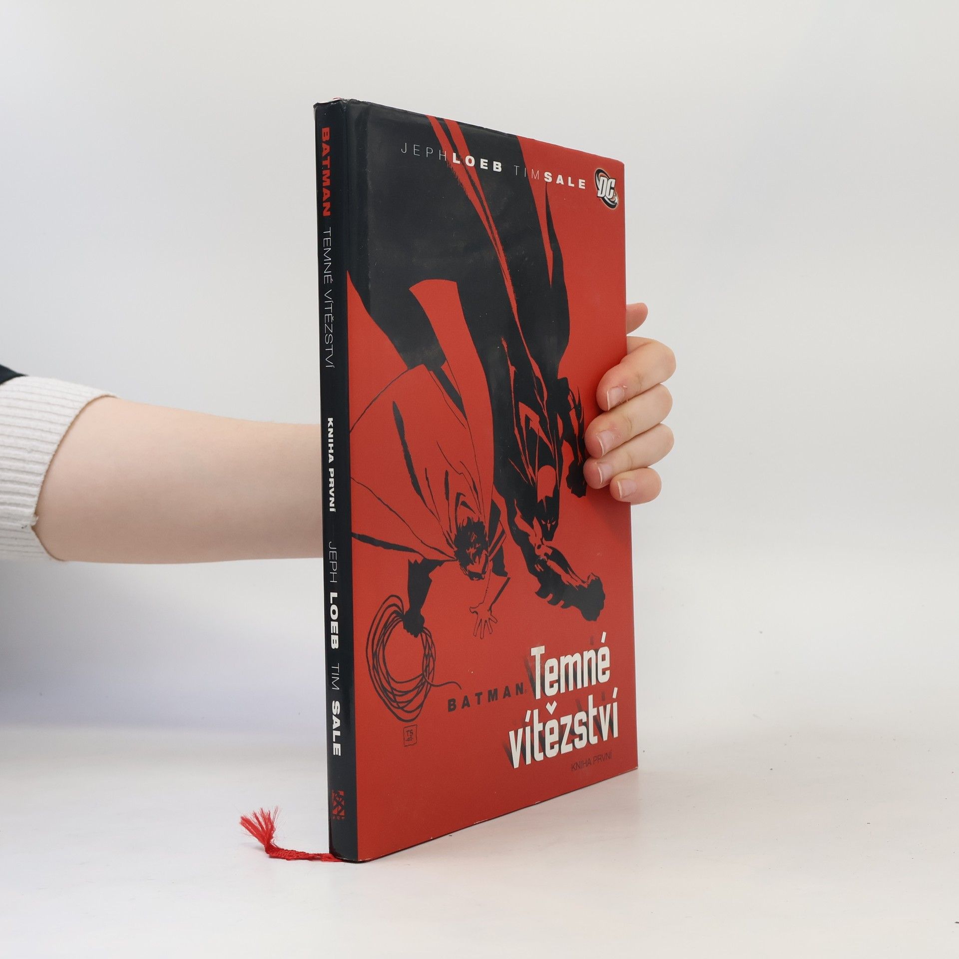 Jeph Loeb Batman: Temné vítězství. Kniha první