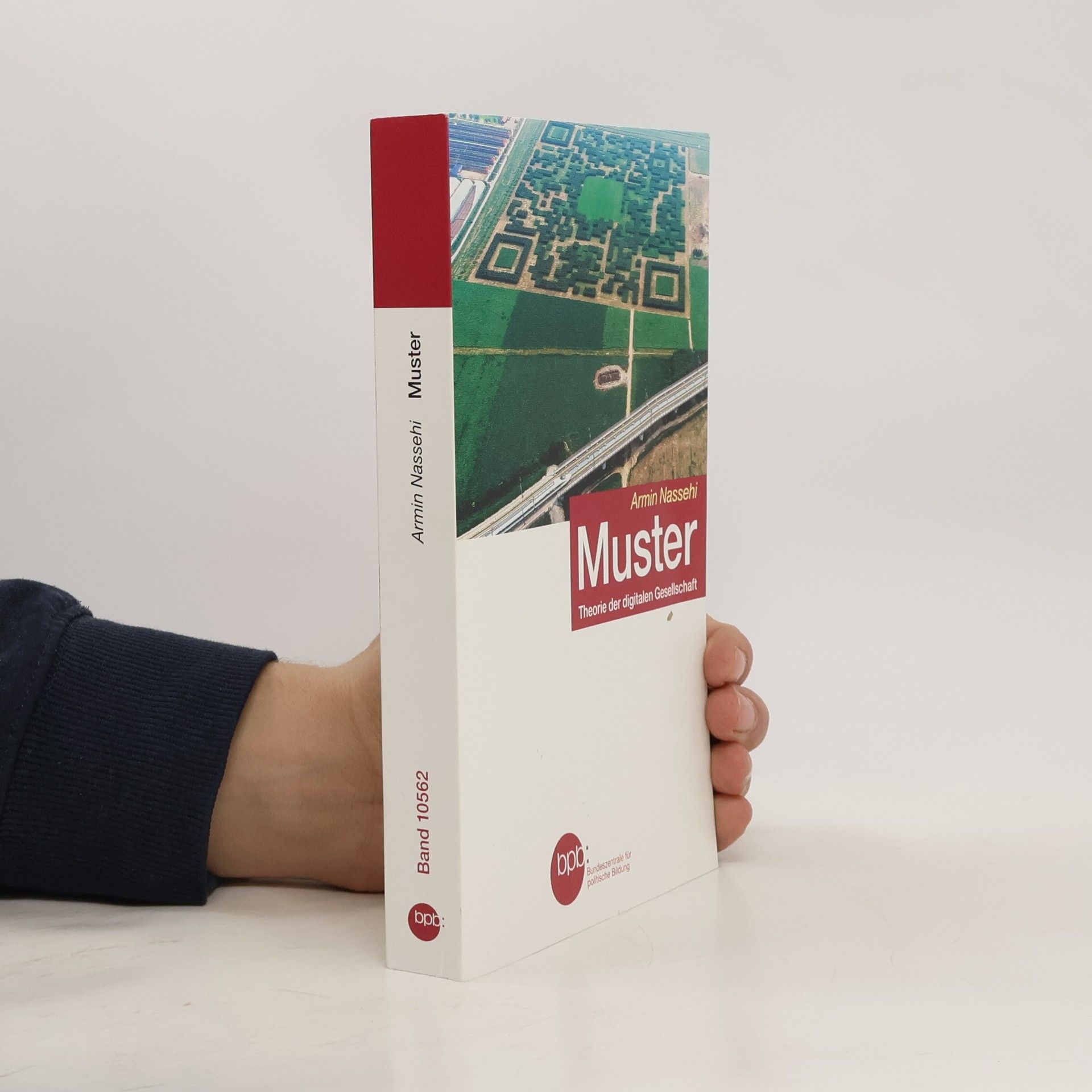 Armin Nassehi Muster