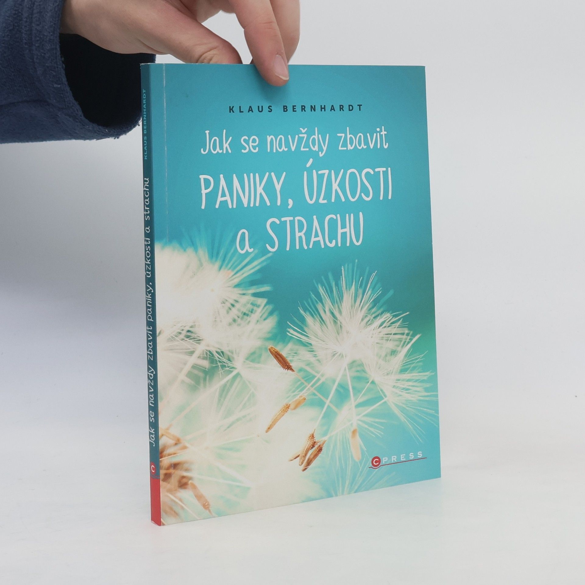 Klaus Bernhardt Jak se navždy zbavit paniky, úzkosti a strachu