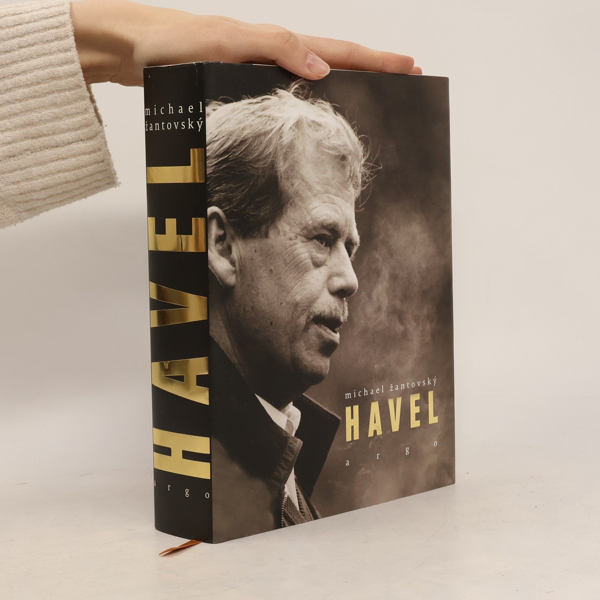 Michael Žantovský Havel