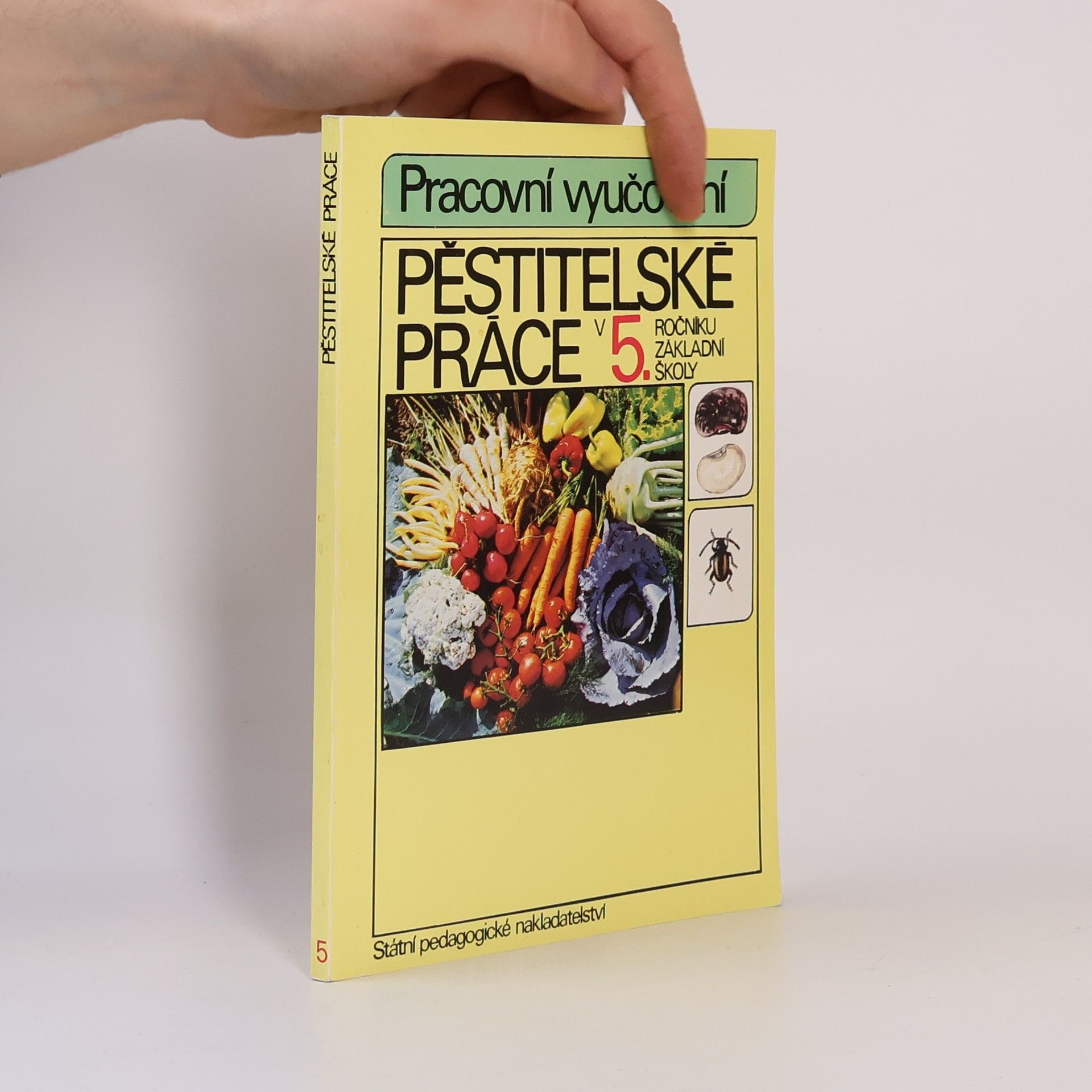 Collectif d'auteurs Pěstitelské práce v 5. ročníku základní školy