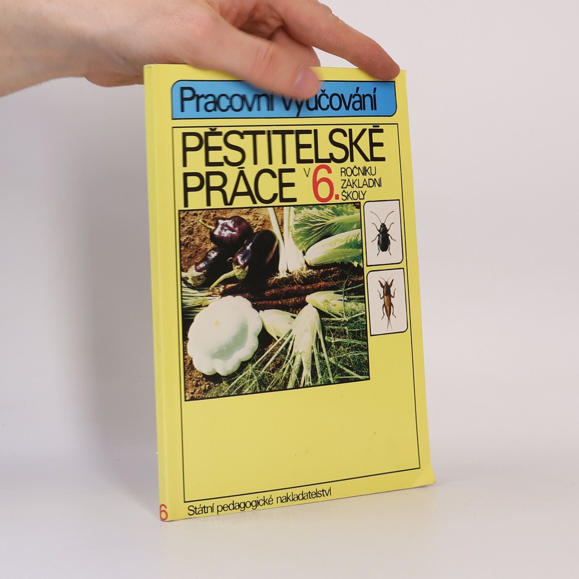 Kolektiv autorů Pěstitelské práce v 6. ročníku základní školy