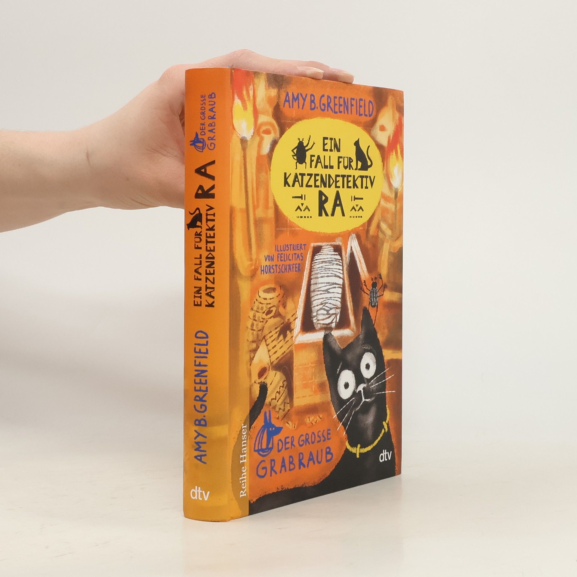 Amy Butler Greenfield Ein Fall für Katzendetektiv Ra - der grosse Grabraub