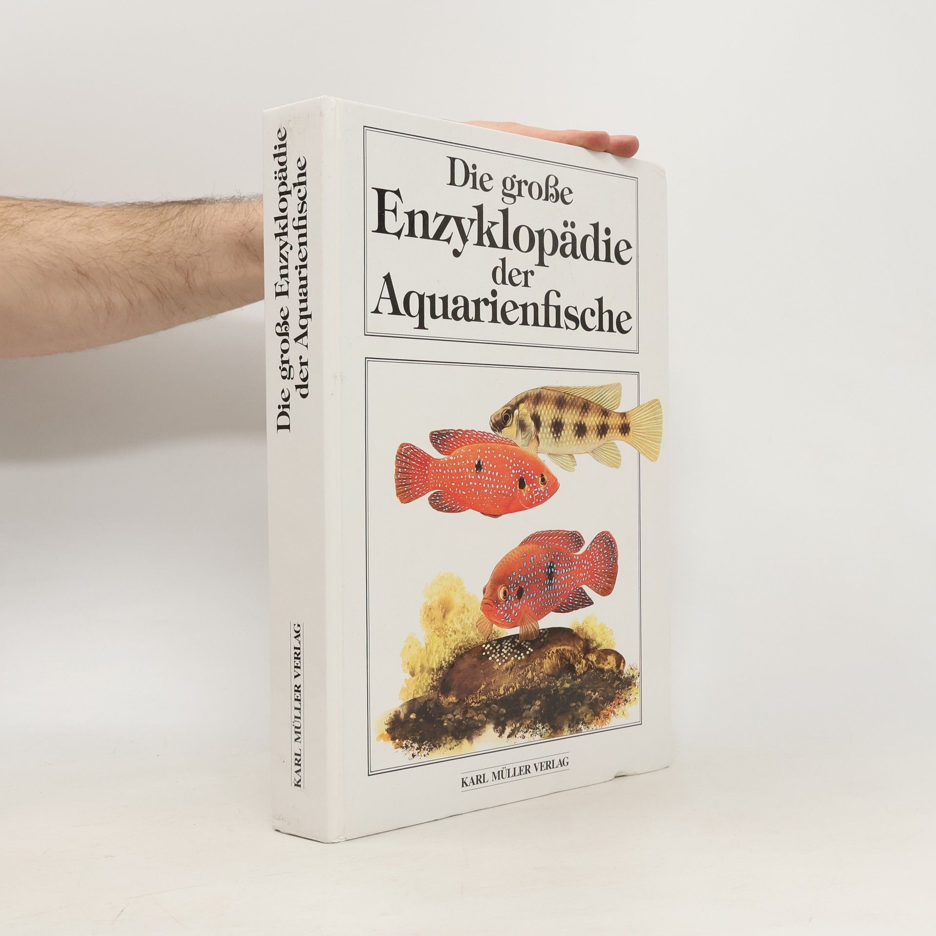 Autorenkollektiv Die große Enzyklopädie der Aquarienfische